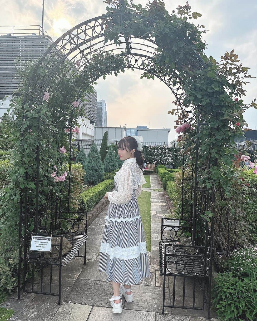 桜井ひかるさんのインスタグラム写真 - (桜井ひかるInstagram)「ポニーテール似合うかな～？ 暑すぎてポニテに薄着したくなる💭 枚数たくさんなので何枚目が好きかおしえてね！  op @tocco_closet  合わせ方によって色んな着方できるし 夏はこれ1枚で着たいからダイエットしなきゃ🥲！  最近バラ園に行きたい気持ちなので、 近々行けたらいいな～ｏ(｡・‧̫・｡)ｏ💞💭  #tocco #toccocloset #トッコ#トッコクローゼット#ワンピース#キャミワンピ#バラ園#バラ#薔薇#薔薇園#新宿#ポニーテール#ヘアメイク#epine#フレンチガーリー#フレンチガーリーコーデ #instagood」5月22日 19時44分 - hikarunroll_