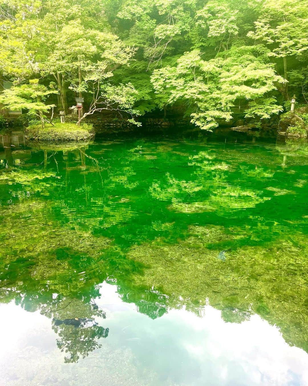 崎本ゆかりのインスタグラム：「. 老舗ホテル 一乃館そばにある 【出流原弁天池】 池底が見える透き通った水で とても美しく パワーを感じました。 美味しい湧水でいただくコーヒーは最高♩」