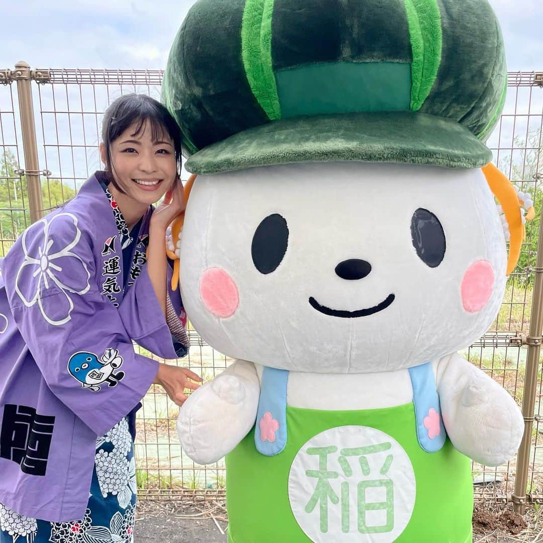 寺嶋由芙さんのインスタグラム写真 - (寺嶋由芙Instagram)「【茨城県稲敷市　稲敷いなのすけ】 あまりにもかわいいわんこ｡ﾟ(ﾟ´ω`ﾟ)ﾟ｡タレ目がたまらないよ｡ﾟ(ﾟ´ω`ﾟ)ﾟ｡ ・ Charatメンバー全員お気に入りのいなのすけソング「パンプキンドリーム」は、ミニアルバム「にまいめ。」に収録されています✨是非聴いてね！ ・ #稲敷いなのすけ #茨城県 #稲敷市 #ご当地キャラ成田詣 #ご当地キャラ #成田山新勝寺 #うなりくん #千葉県成田市 #成田 #成田山 #ゆるキャラ #イベント #yuruchara #idol」5月22日 20時30分 - yufu_terashima