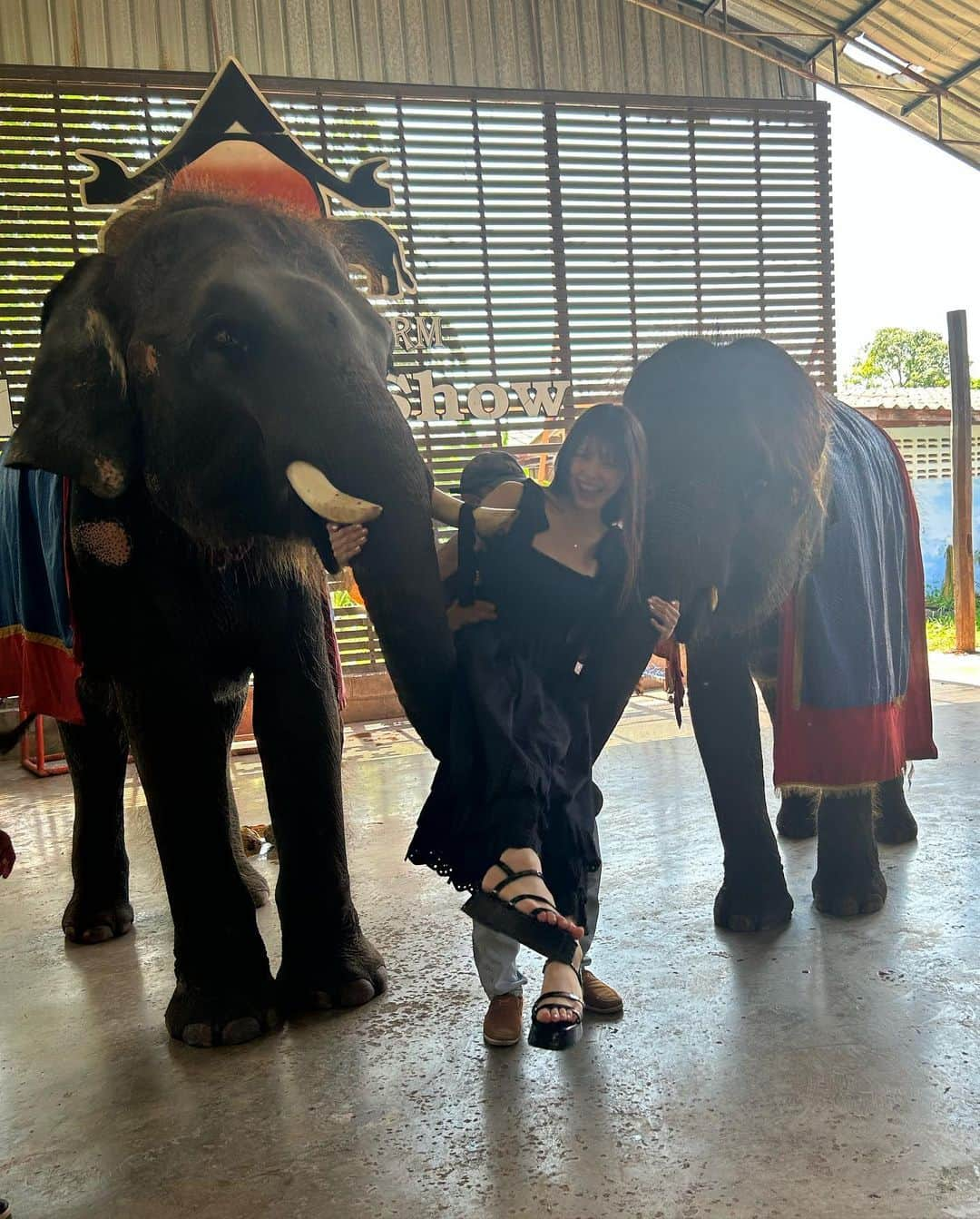 鈴木ゆうかさんのインスタグラム写真 - (鈴木ゆうかInstagram)「.  DAY2 🐘🌿🇹🇭」5月22日 20時30分 - yuu_pl