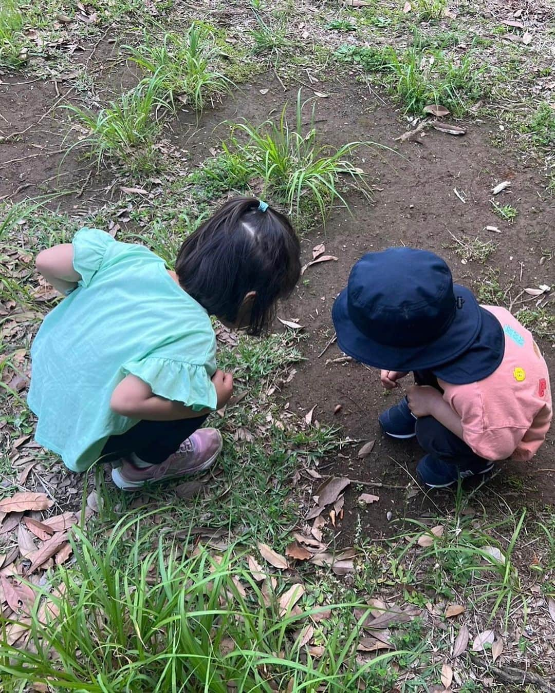 安田美沙子さんのインスタグラム写真 - (安田美沙子Instagram)「思い立って公園へ。。。  ちひろちゃんと🤍  遊ぼって言っててやっと集まれたねっ♥️  ペアルックで嬉しかった☺️✨ まだまだ話し足りないっ！  子供達も、私たちも、アーシングまではいかなくとも、自然に身をおいて、心がリフレッシュできたのでした🌱  お知り合いに偶然会えて、モルモット＆ハリネズミ🦔にも会えた🤍  ママたちにも大事な癒し時間になりました。。。  我が家に連れ帰ったのは。。  な、なんとカマキリの赤ちゃん！  ネットで育て方を調べています！！ 男の子ママの宿命。。。  #park #green #nature #ハリネズミ #モルモット #カマキリ #ペアルック」5月22日 22時28分 - yasuda_misako