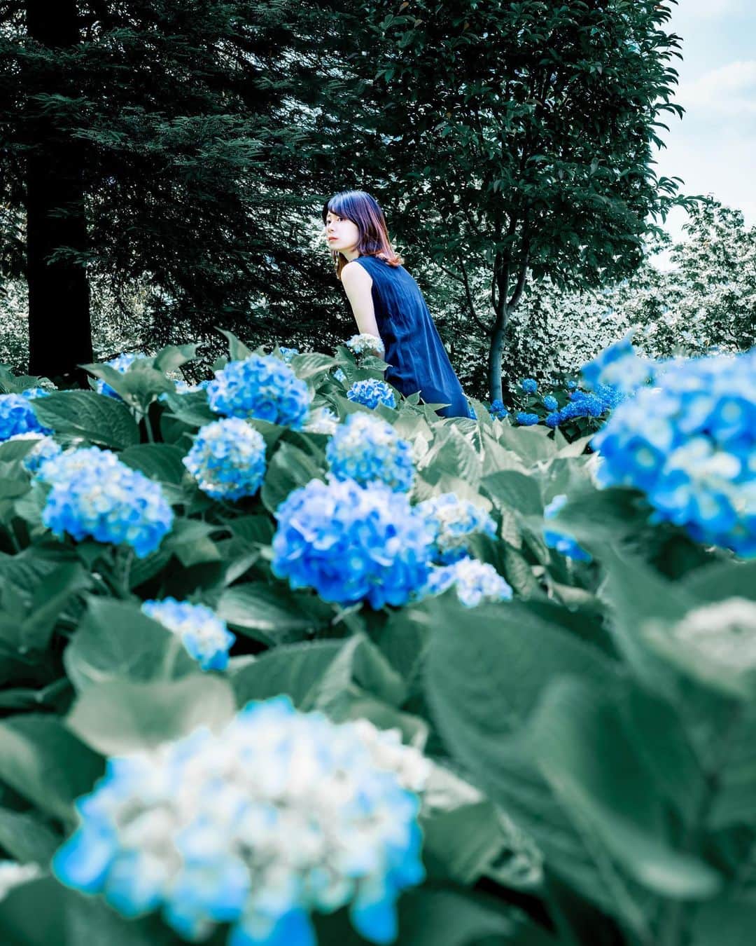 shabonのインスタグラム：「* . . . . . 紫陽花咲き始めてきたね😳✨ 今年はいろいろ早いなぁ。 . . model : @mooonene  . . FUJIFILM GFX50S II /  GF45mm F2.8 R WR . . . . . . *」
