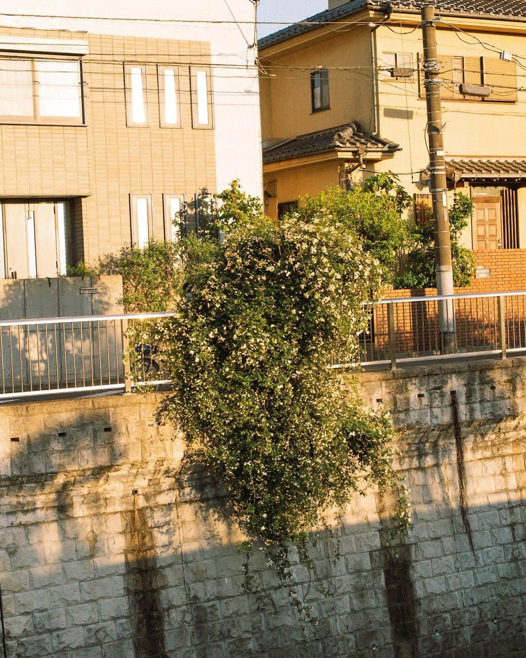 酒井貴弘のインスタグラム：「気分で深夜の一枚投稿。  #leica  #leicatype262」