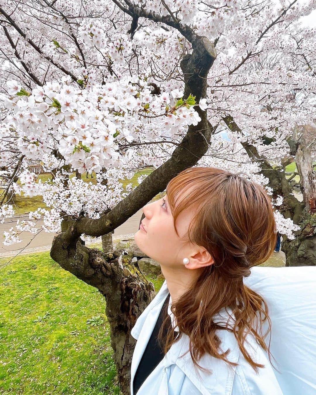 のインスタグラム：「⁡ 投稿し忘れていましたが‥✨ 4月に桜を見に行きました🌸 ⁡ 北上展勝地→盛岡城跡公園 ⁡ 北上展勝地では馬車が復活！ かわいいお馬さんと写真を撮ってもらいました✨ ⁡ 岩手の桜きれいです🥺💕 ⁡ ⁡」