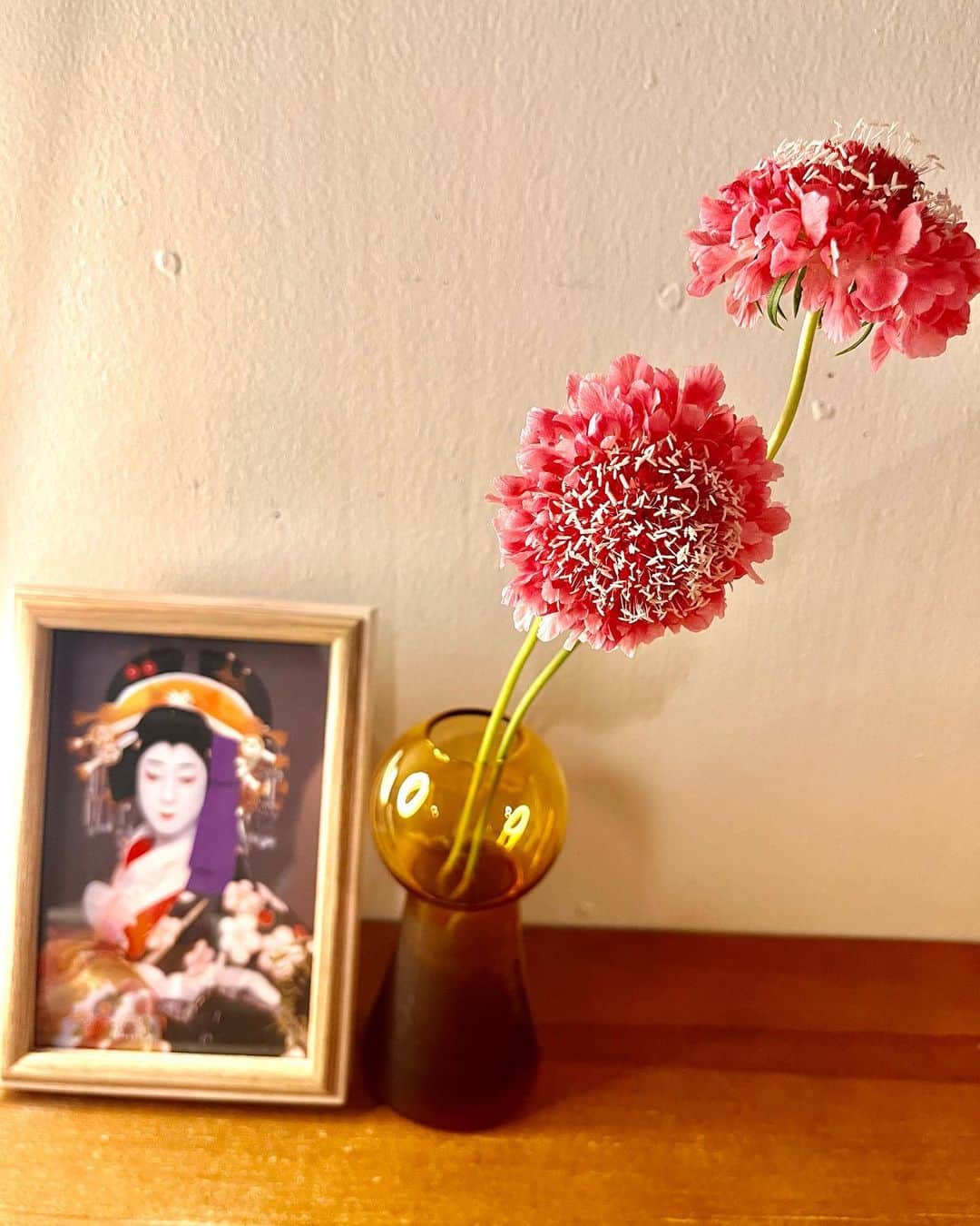 亜希子のインスタグラム：「今日は進めなきゃいけない仕事が進まず、いつもならそんな自分を責めてしまうんだけど、なぜか凄い勢いで「仕方ない」と思った瞬間から視界が晴れ渡りました。  で、気がついたらコート着て街をブラブラしてました🌆  そうしたら近所に、可愛い輸入物の花瓶を大量に売っている不思議なお花屋さんを見つけました。  私のようなズボラな人間が部屋に花を飾るなんて、そんなの一時的ブームに過ぎないだろうからダメだとずっと自分に言い聞かせていましたが、てるてる坊主をモチーフにした花瓶がどうしても可愛くて。  買ってしまいました。  そこに花を生けて、仕事机に飾りました。心が潤って、泣きそうになりました。  その時に気がついたのですが、花を飾るのって、それだけで心のサプリになるんですね。  それにしても私、また「頑張らなきゃ」と鼻息が荒くなってました🎻✨  でも、頑張るのは大事だけど、もしかしたらこんなこと言ったら怒られてしまうかもしれないけれど、「サボる知性」というのは本当はもっと大事なことなのかもしれません。  布団に足を突っ込んで、あったかーくして寝ます☺️🍵」