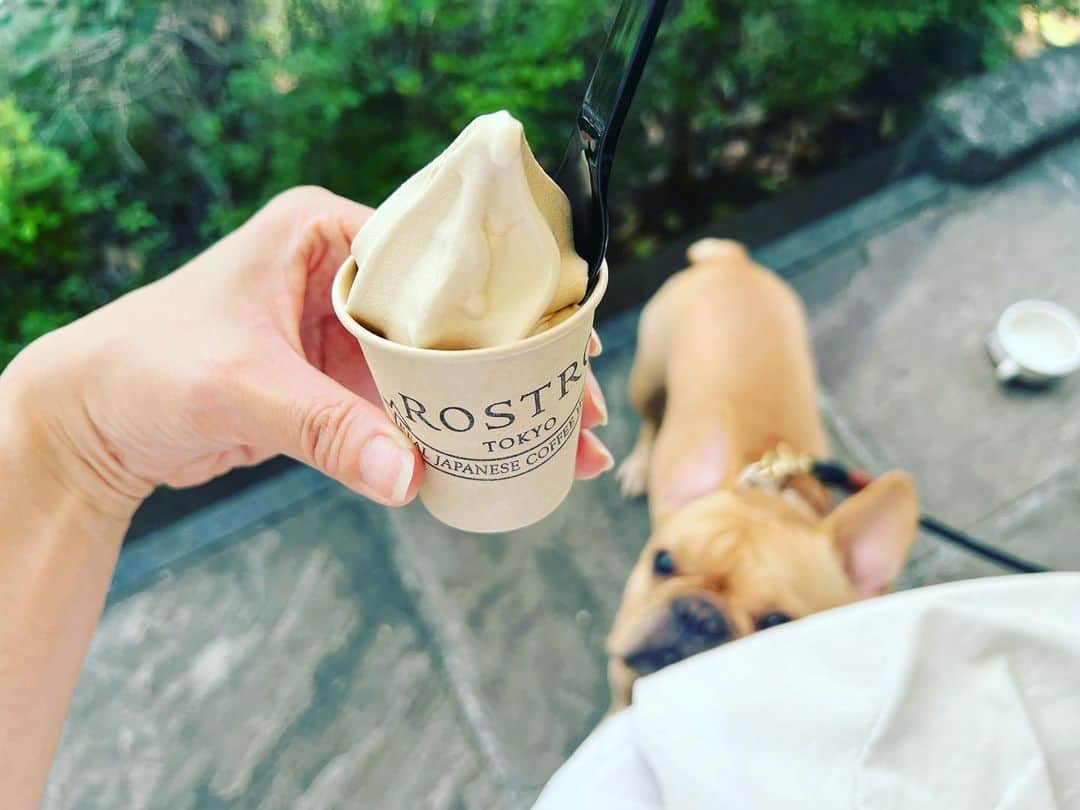 月船さららさんのインスタグラム写真 - (月船さららInstagram)「🐶✨🍨  #ロストロ  #rostro #コーヒー #コーヒータイム #coffee」5月23日 0時07分 - sarara_tsukifune