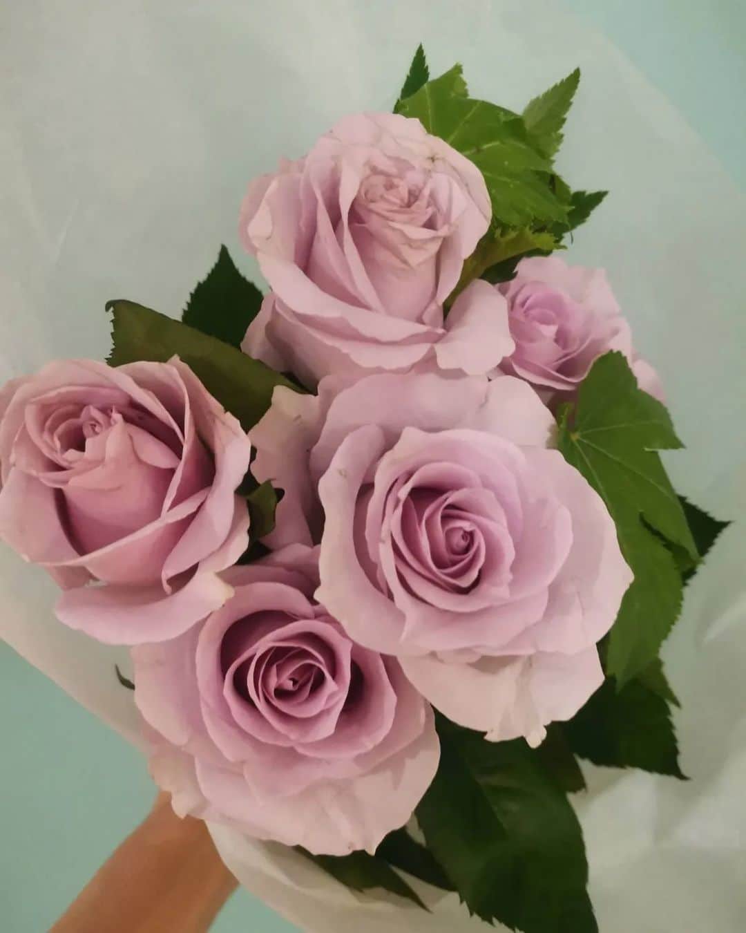 杉山由紀子さんのインスタグラム写真 - (杉山由紀子Instagram)「💐@moafura_official 大好きなお花の定期便♡♡♡  今回は【ミスティレイン+ベビーハンズ】  大人かわいい紫のお花がほんとに可愛くて✨✨✨ お部屋にあるだけでテンションが(´∀｀∩)↑↑  ほんとにお花っていいな♡♡♡ ここのお花はほんとに良いよ🎶   #moafura #モアフラ #お花の定期便 #お花のある暮らし #バラ花束 #バラ定期便 #バラサブスク #バラギフト #お花のある暮らし #バラ #花 #flower #氣 #大人かわいい #紫薔薇」5月23日 1時21分 - yukikosugiyama