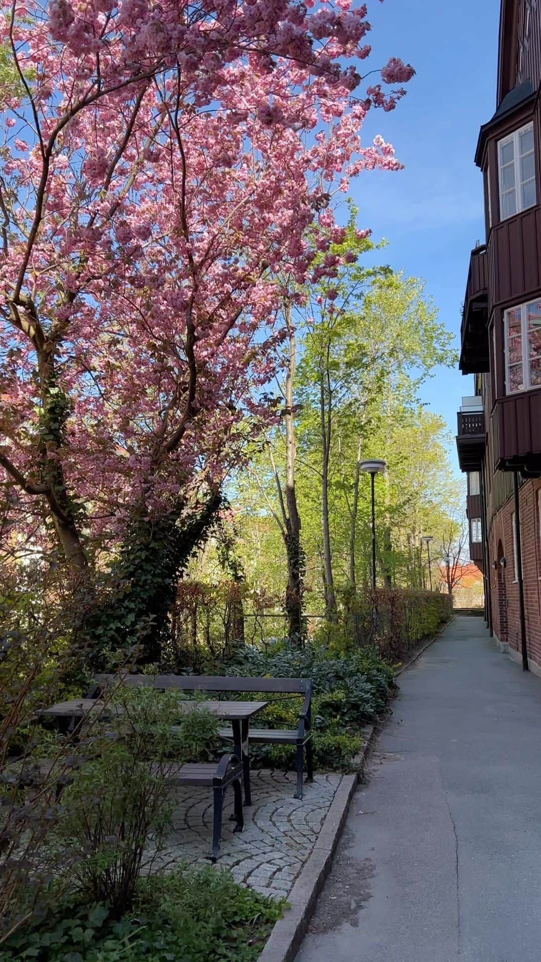 のインスタグラム：「Förmiddagsljuset på drömmiga Erik Dahlbergsgatan 🌸  Erik Dahlbergsgatan 33C | Såld. Styling: @bon.interior   #bjurforscentury #bjurfors #mäklarejonasrutberg #körsbärsblommor #cherryblossom #inredning #interiordesign #beautifulhomes #göteborg」