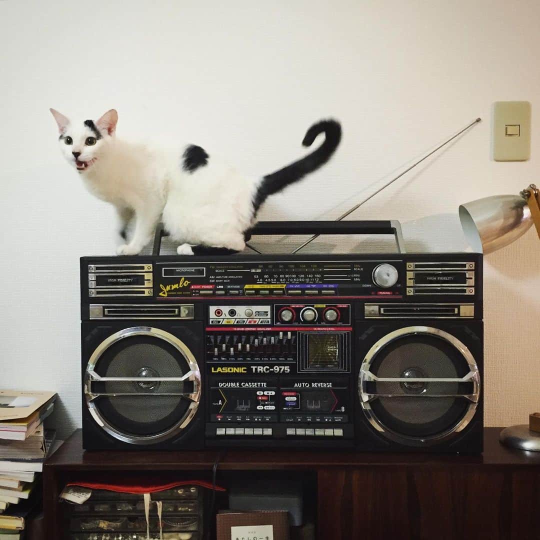 Akira Yamaguchiのインスタグラム