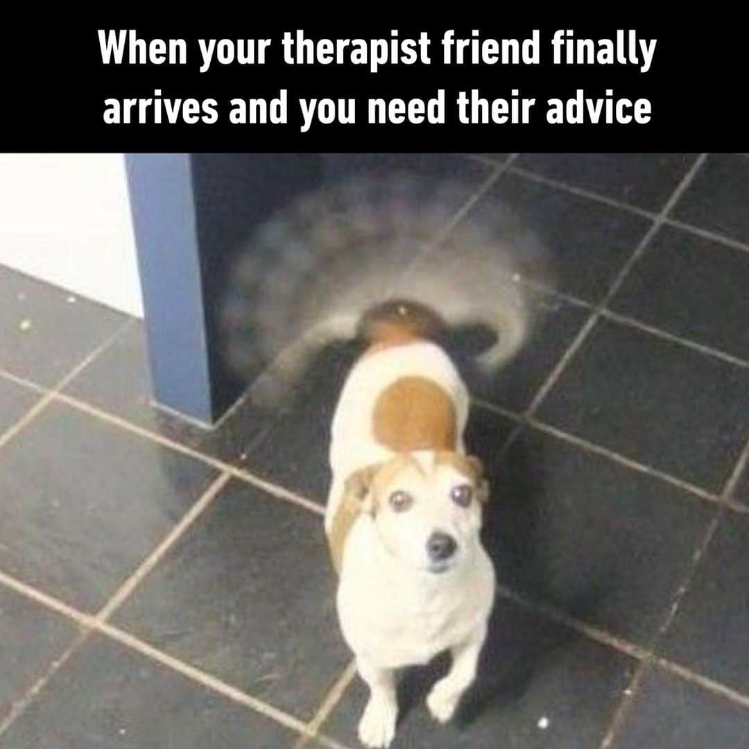 9GAGさんのインスタグラム写真 - (9GAGInstagram)「time for my counseling session  - #counseling #therapy #friends #advice #memes #9gag」5月23日 2時01分 - 9gag