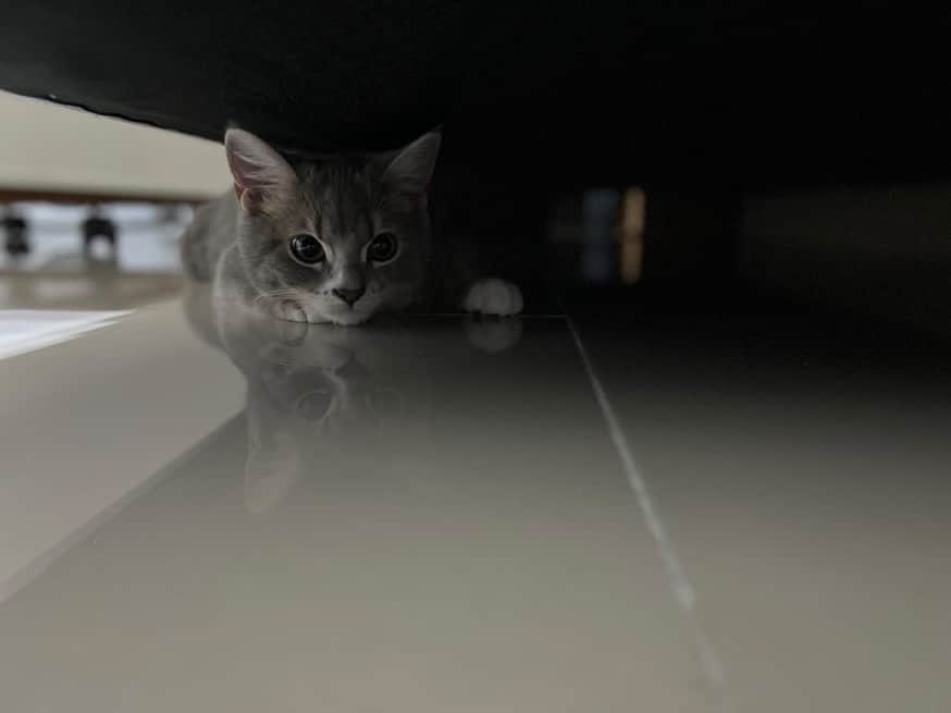 Miaのインスタグラム