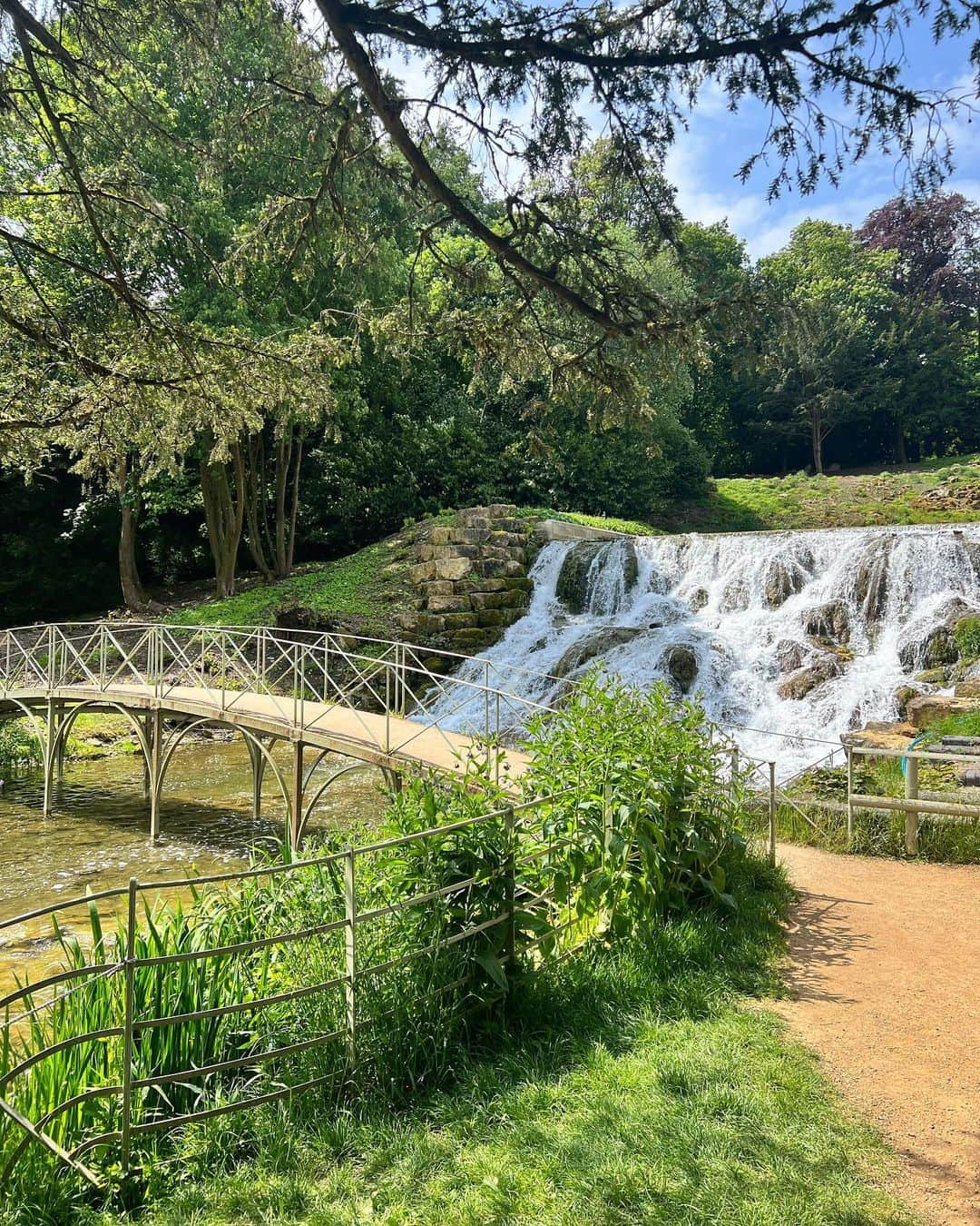 ジョージア・ホールさんのインスタグラム写真 - (ジョージア・ホールInstagram)「Recently 🍃🐷🍁🌳🍂🍃」5月23日 2時35分 - georgiahall23