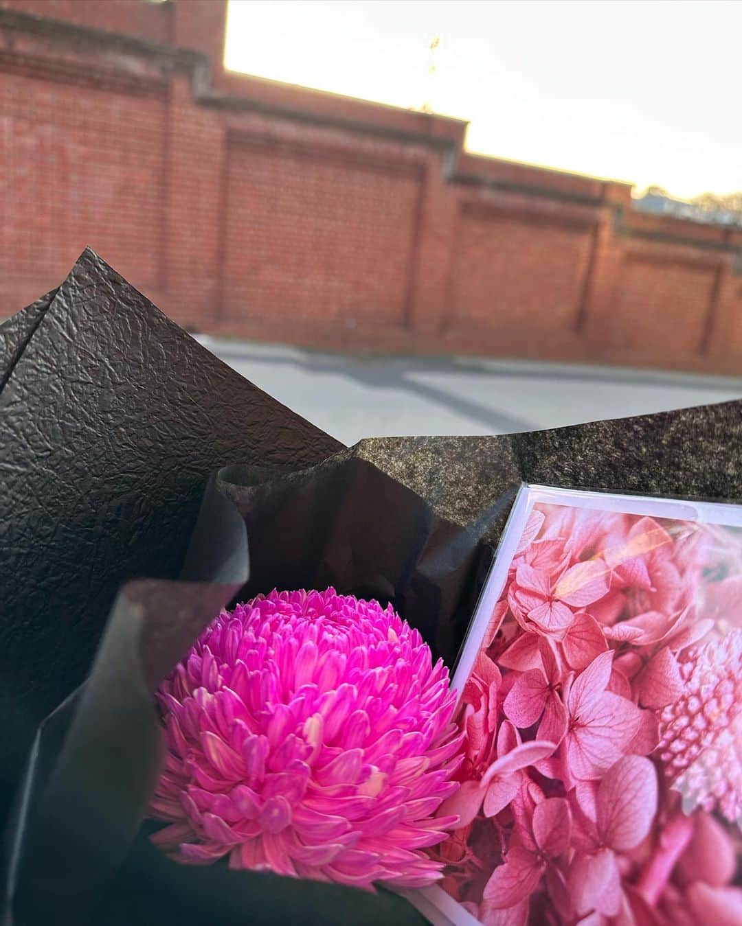 のインスタグラム：「🌸  “You’re a wonderful friend.”」