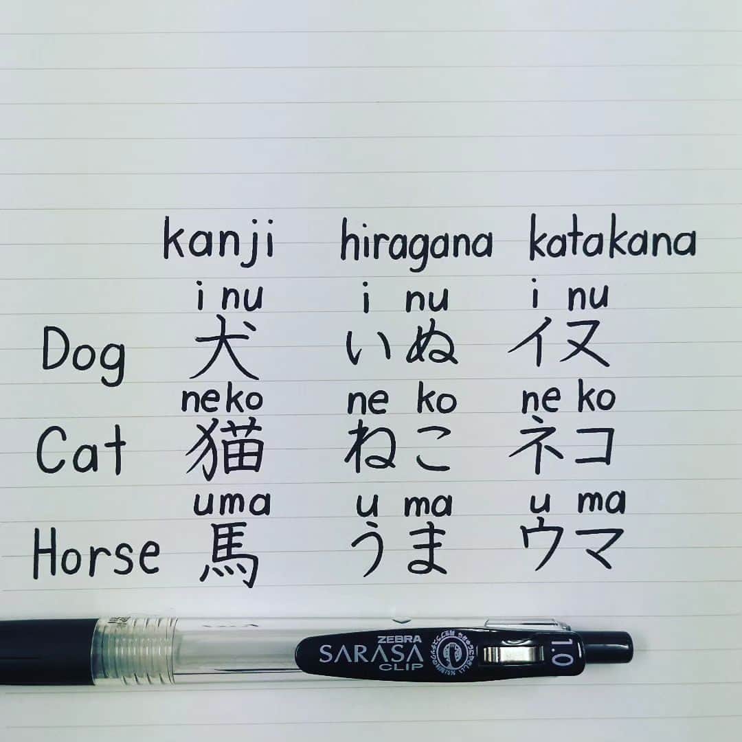 東宮たくみのインスタグラム：「How to write Dog, Cat, and Horse in kanji, hiragana, and Katakana #Japanese  #kanji  #hiragana  #katakana  #日本語 #handwriting」