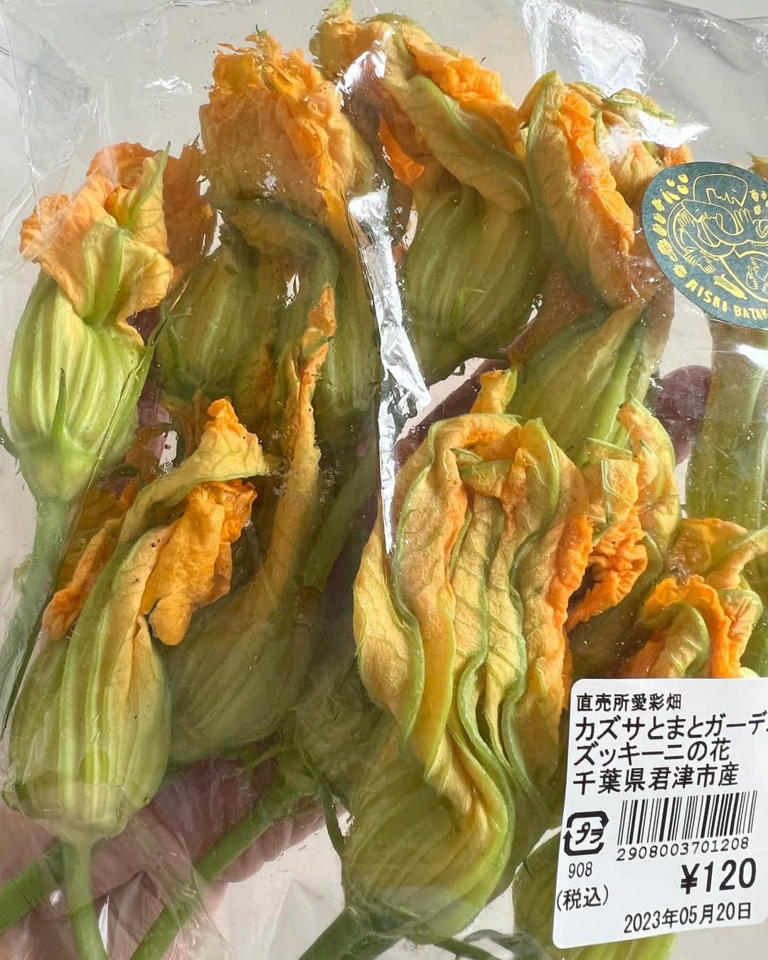 麻生れいみさんのインスタグラム写真 - (麻生れいみInstagram)「花ズッキーニを120円でゲット⭕フリットにしるのがポピュラーだけど、チーズをいれてフライパンで焼く低糖質仕上げに🍽️ワインにあわないわけないよね🥳  #ロカボダイエット  #管理栄養士  #麻生れいみ式ロカボダイエット  #lowcarbdiet  #lowcarb  #麻生式ダイエット #dietitian  #dietitians  #糖質制限  #ダイエット  #ケトン体 #ケトジェニック #ketodiet #ケトンアダプト #ketoaptation  #ketoadapted  #簡単ダイエット」5月23日 7時46分 - reimi_aso