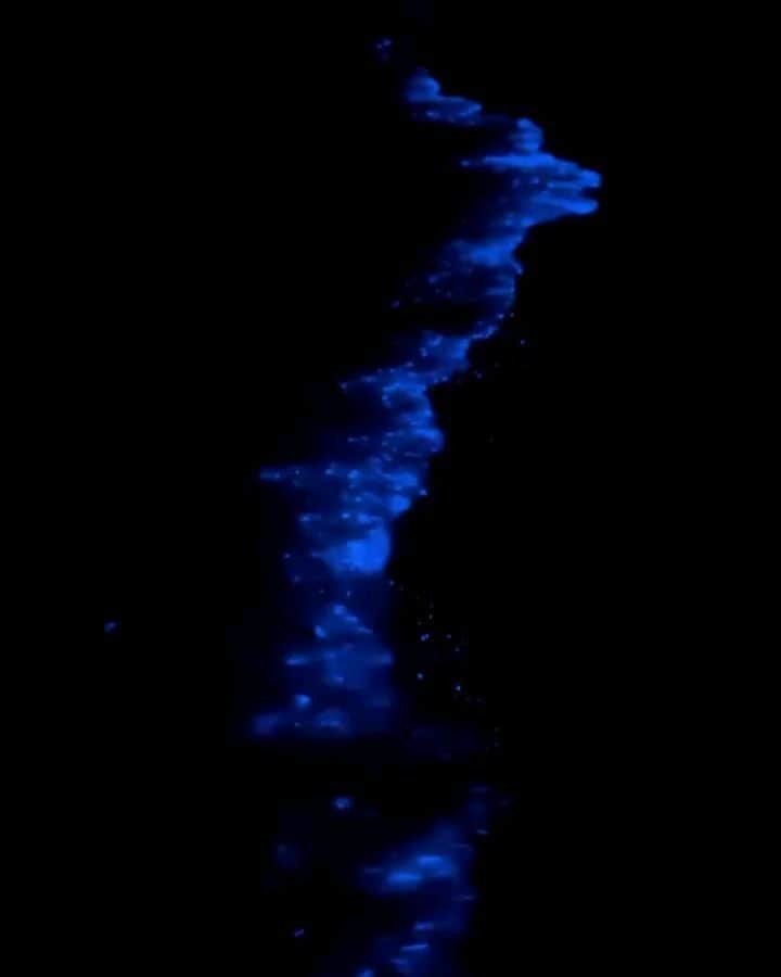 Padgramのインスタグラム：「Thus phenomenon is called Bioluminescence algae. Bioluminescent algae are a group of tiny marine organisms that can produce an ethereal glow in the dark. While the phenomenon may occur in any region or any sea depth, some of the most stunning instances happen on the surface when the algae come close to shore, sparkling with the movement of the waves or through the jostling of boats. 💙🔭  Video 1 credit: @shahanas_haidar_ali  Video 2 credit: @calhusoru  Video 3~4 credit: @patrickc_la  💙💦💙 #pgdaily #pgstar#pgcounty #sea #planetgo#planet #planetearth #amazing #awesome #nature」