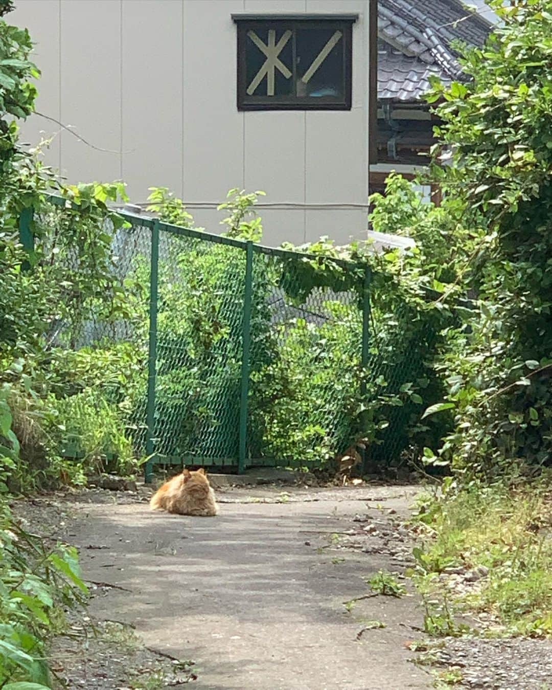 田中美久さんのインスタグラム写真 - (田中美久Instagram)「⛰️🎒  #アップトゥボーイ　 みくりん表紙は本日発売〜  オフショット📷　#無加工カメラ」5月23日 9時52分 - mikumonmon_48