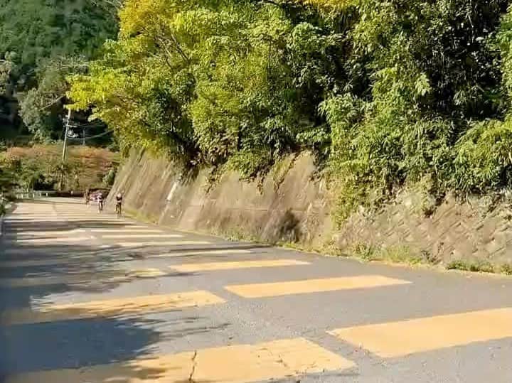 竹谷賢二のインスタグラム
