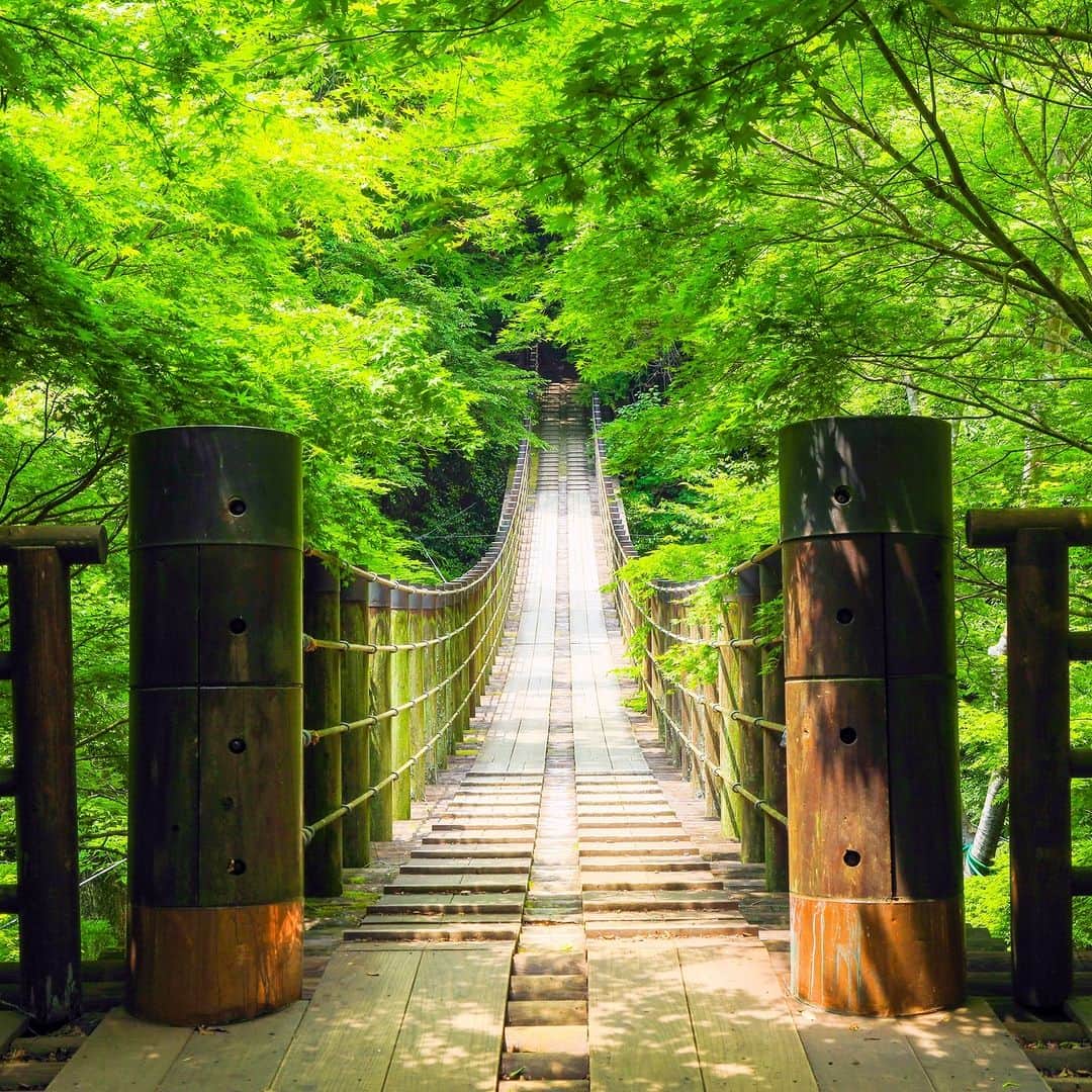 旅行比較サイト・トラベルコ 理想の旅を、いちばん安く。のインスタグラム：「#花貫渓谷 / 茨城  花貫川の浸食によって作られた、深いV字谷の続く花貫渓谷。  春には新緑が一面に広がり、夏には清流で遊ぶことができます。 眼下に見える汐見滝と、川沿いに茂る木々の新緑が織りなす光景が素晴らしく、心を癒やしてくれます🍀 ゆっくり時間を取って豊かな自然に癒やされてみては♪  ━━━━━━━━━━━ 📍 #花貫渓谷 （茨城県高萩市） ━━━━━━━━━━━ 花貫渓谷の詳しいスポット情報はこちら👇 https://www.tour.ne.jp/j_spot/126807/  Photo: PIXTA  ********** あなたが旅先で出合った素敵な風景に #トラベルコ または #travelko をつけて投稿してみてください📷 こちらのアカウントで紹介させていただくかも！  投稿を見て「行きたい！」と思ったら保存でクリップ。 フォロー＆いいねもお願いします🌟  ********** 国内海外1500以上の旅行サイトをまとめて比較！ 旅行の最安値を探すなら「トラベルコ」  プロフィール欄のURLから早速検索🔍 @travelko_official  #花貫渓谷 #花貫渓谷吊り橋 #高萩市 #ibaraki #茨城 #茨城県 #茨城旅行 #茨城観光 #国内旅行 #日本の絶景 #japantrip #japantravel #絶景 #フォトジェニック #ファインダー越しの私の世界 #誰かに見せたい景色 #旅行好きな人と繋がりたい #写真好きな人と繋がりたい #女子旅 #一人旅 #旅行好き #旅 #旅行 #観光 #trip #travelko #トラベルコ」