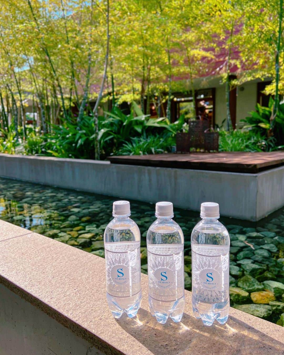 mii_stagramさんのインスタグラム写真 - (mii_stagramInstagram)「🍀🍀🍀 お風呂上がりの楽しみは炭酸水  シュワシュワ〜っと 喉に通る感じがスカッと心地良い𓂃🫧‪  最近飲み始めたのは 日本の水の郷100選にも選ばれた 水郷の町大分県日田市の 美のミネラル、天然シリカのミネラル炭酸水 𝐒𝐎𝐋 𝐁𝐢𝐀𝐍𝐂𝐀  @otogino_kuni  「シリカ」をはじめ多くの 天然ミネラル成分をバランスよく含み のど越しやわらかな天然水に 業界トップクラスの強炭酸5.0GV　 ※炭酸充填時量 強めなのが好きな私にはたまらない👌  非加熱ろ過で水本来のおいしさや 栄養分そのまま楽しめて 健康と美容に良いなんて 追加で注文しなきゃ🚚📦  ┈┈┈┈┈┈┈┈┈┈ 500mlペットボトル24本　　 定価　2,040円（税込み）→ 楽天、Yahoo！ショッピングでは 1,860円（税込）、1本あたり77.5円で販売 お得にご購入出来ますよ🉐 ･ ｡ 　⭐∴｡　 　　🌟ﾟ･｡  ﾟ💫｡  　　 ✨🌟 💫 　 　　 ･ﾟ⭐｡･  　　　　⭐✨｡· 　 ⭐･｡🌟･｡✨🌟 　　　 ✨🌟 　　　　 ･ﾟ💫✨° 　　 🌟 ﾟ･｡ 💫 ｡ 　　　　　ﾟ⭐｡ﾟ✨ 🌟  #炭酸水 #OTOGINO #美容 #健康 #炭酸水ダイエット #禁酒 #シリカ #ミネラル #ケイ素水 #美と健康 #毎日の習慣 #水 #ダイエット #SOLBiANCA #強炭酸水 #日田市  #自然 #美肌 #美髪 #美容マニア #美容オタク #健康オタク  #ルーティン #生活 #暮らし #暮らしを楽しむ  #暮らしを整える  #ライフスタイル」5月23日 12時13分 - miyuki.0419.karemari