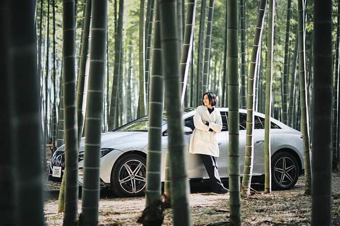 田沢美亜さんのインスタグラム写真 - (田沢美亜Instagram)「✴︎UPDATE✴︎  ベンツと共に綴るurakuの旅日記 「She’s Mercedes meets Japan」がアップされました。  日光街道・中編は、この地で代々竹を育てながら、竹という植物そのものの魅力を発信、 提案している若山太郎さんを訪ねました。  350年前から続く「若竹の杜 若山農場」は、若山さんの曽祖父の代にあたるおよそ 150年前から竹の栽培、販売を始めました。  食材、建材、植栽、ロケーション、そして工芸品やアート作品まで、竹そのものの魅力を アピールしていきたいと語る若山さんでが、若い頃は実家の農場には興味が湧かず、ランドスケープのデザインの仕事を行っていました。 そんな若山さんがどのような経緯を経て家業を継ぐに至ったのか、国や組織に頼らず自分たちで活路を見いだすという考え方を引き継いだ、若山さんの取り組みを是非ご覧くださ い。  プロフィールのリンクからご覧頂けます。  https://mb-live.jp/shes-mercedes/meets-japan-2023-04-28/  Vol.26 日光街道 中編  若竹の杜 若山農場 若山太郎 衣食住から芸術に及んだ“竹”の魅力を発信する農場 ・ ・ @mercedesbenzjapan @uraku_tokyo @haneyakubo @wakayama_farm @margarethowell_jp   photo @ramon_onizawa   #uraku_tokyo #shesmercedesmeetsjapan #shesmercedes #メルセデスベンツ  #電気自動車  #メルセデスEQ  #EQA250  #コンパクトSUV  #斎藤正光 #竹工芸品 #竹工芸 #竹 #若竹の杜 #若山農場 #若山太郎 #日光街道 #宇都宮 #金明孟宗竹 #孟宗竹 #大谷石 #竹林 #斎藤正光 #MARGARETHOWEL #MHL. #tthreefarm」5月23日 12時23分 - miatazawa