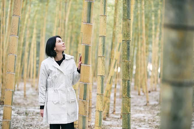 田沢美亜さんのインスタグラム写真 - (田沢美亜Instagram)「✴︎UPDATE✴︎  ベンツと共に綴るurakuの旅日記 「She’s Mercedes meets Japan」がアップされました。  日光街道・中編は、この地で代々竹を育てながら、竹という植物そのものの魅力を発信、 提案している若山太郎さんを訪ねました。  350年前から続く「若竹の杜 若山農場」は、若山さんの曽祖父の代にあたるおよそ 150年前から竹の栽培、販売を始めました。  食材、建材、植栽、ロケーション、そして工芸品やアート作品まで、竹そのものの魅力を アピールしていきたいと語る若山さんでが、若い頃は実家の農場には興味が湧かず、ランドスケープのデザインの仕事を行っていました。 そんな若山さんがどのような経緯を経て家業を継ぐに至ったのか、国や組織に頼らず自分たちで活路を見いだすという考え方を引き継いだ、若山さんの取り組みを是非ご覧くださ い。  プロフィールのリンクからご覧頂けます。  https://mb-live.jp/shes-mercedes/meets-japan-2023-04-28/  Vol.26 日光街道 中編  若竹の杜 若山農場 若山太郎 衣食住から芸術に及んだ“竹”の魅力を発信する農場 ・ ・ @mercedesbenzjapan @uraku_tokyo @haneyakubo @wakayama_farm @margarethowell_jp   photo @ramon_onizawa   #uraku_tokyo #shesmercedesmeetsjapan #shesmercedes #メルセデスベンツ  #電気自動車  #メルセデスEQ  #EQA250  #コンパクトSUV  #斎藤正光 #竹工芸品 #竹工芸 #竹 #若竹の杜 #若山農場 #若山太郎 #日光街道 #宇都宮 #金明孟宗竹 #孟宗竹 #大谷石 #竹林 #斎藤正光 #MARGARETHOWEL #MHL. #tthreefarm」5月23日 12時23分 - miatazawa