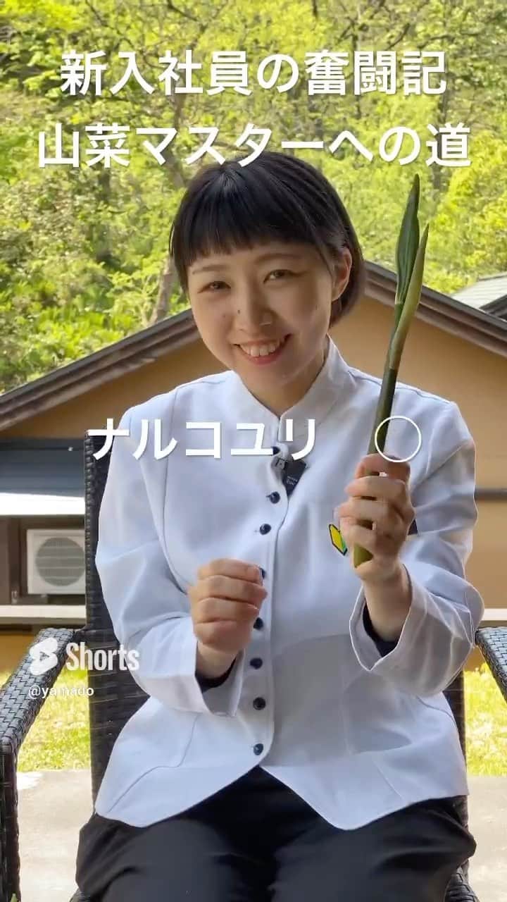山人のインスタグラム
