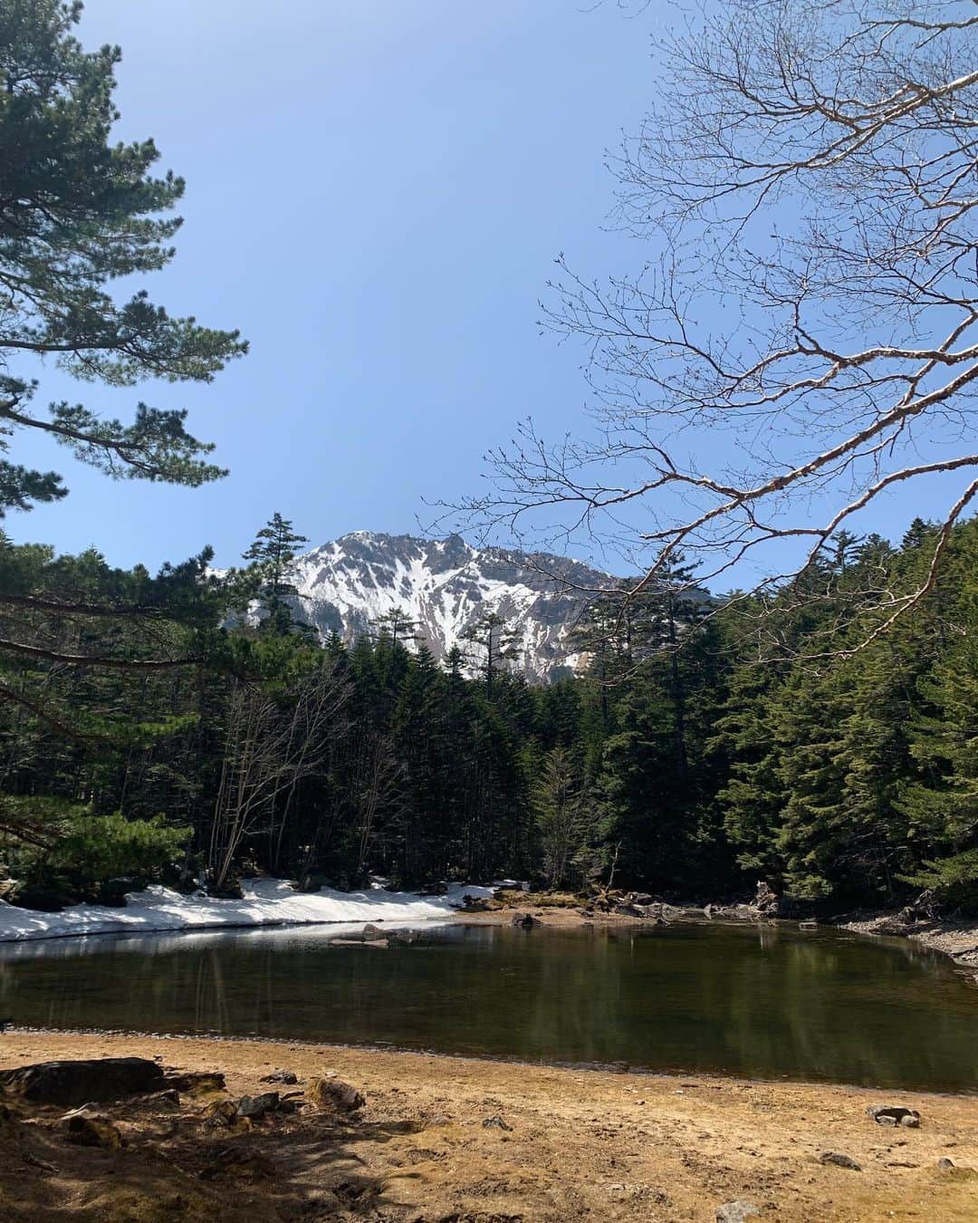 のインスタグラム：「ランドネ7月号の撮影で訪れた、北八ヶ岳にあるみどり池。 日本じゃないみたいな景色の美しさに癒されてきました。 すごく静かな場所だから風の音や動物たちの鳴き声だけが心地よく聞こえてきて、頑張って山を登ったかいがあった！🏔️笑  しらびそ小屋でいただいたカレー、また食べたいなぁ。🐿️💭  #ランドネ #北八ヶ岳 #みどり池 #しらびそ小屋 #登山   Thank you！ 📚 @randonnee_mag  📸 Shotaro Kato 👖 Kiyomi Shiraogawa( @kiyomi_s_k ) 💄 Takeharu Kobayashi 📝 Tomoko Saito」