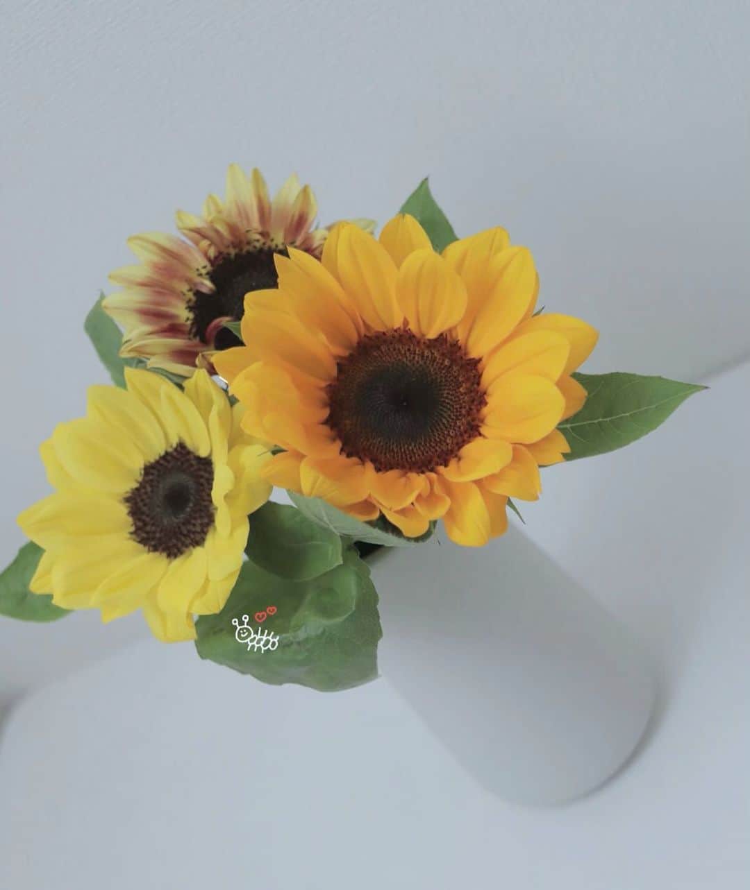 西潟茉莉奈のインスタグラム：「. . 買ってみた🌻 . . #ひまわり」