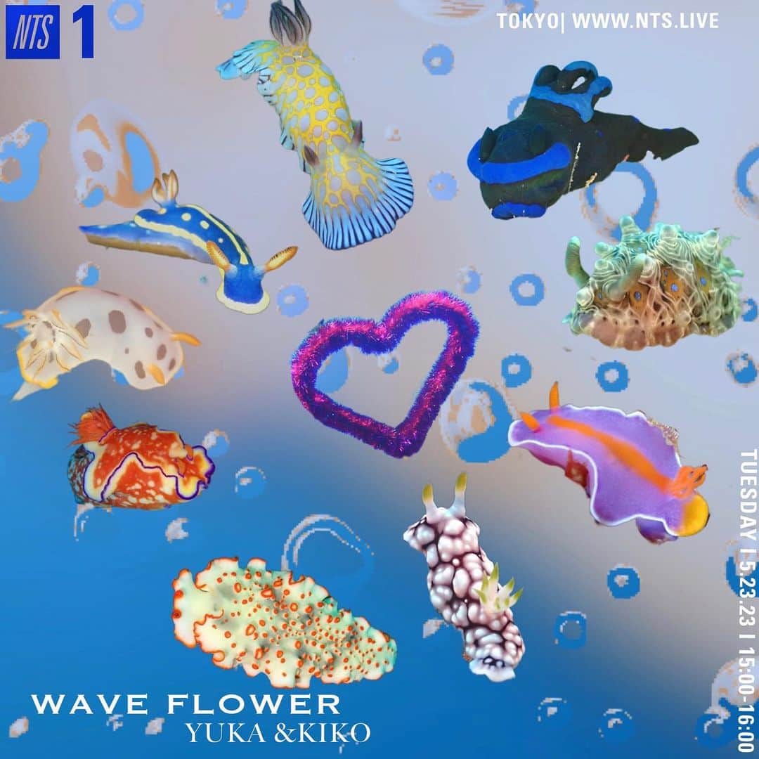 水原佑果のインスタグラム：「Hello🧡so today , Wave flowers show will be on the air ♪ @nts_radio  I picked up some songs with my sister Kiko ;)) We miss the ocean so much and we wanted to feel the freeze 🏊‍♀️ 🏝through the music💕  Sea slug, photos 📽 taken by @i_am_kiko  Collages ✂️by myself 💋💋  今夜NTSRadioの番組Waveflowerで 私の姉の希子と深い海をテーマに選曲しました🎶 最近海に繰り出せてなくて音楽を通して海の空気を感じれたらと思ってコンセプトを決めました🤍  お時間ある際にぜひ聞いてみてください🫰🏻」