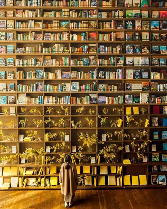 楽天トラベル さんのインスタグラム写真 - (楽天トラベル Instagram)「投稿を保存して見返してね😊 毎日おすすめの観光スポットやホテルを紹介している 楽天トラベル💚 👉@rakutentravel  ーーーーーーーーーーーーー  今日は、巨大な本棚が特徴的な写真を紹介します。 異空間に迷い込んだような感覚になれそうですよね…📕  ーーーーーーーーーーーーー  📍#角川武蔵野ミュージアム 埼玉県所沢市 Special Thanks💓📸Photo by @pamelac0621  📍#枚方 T-SITE 大阪府枚方市 Special Thanks💓📸Photo by @nagai_yuuki  ーーーーーーーーーーーーー  #rakutentravel をつけて投稿してくだされば、 あなたの撮った写真が楽天トラベルアカウントに掲載されるかも👀  トレンドから定番まで、来週のワクワクを叶える楽天トラベルの旅マガジン👜💕楽天トラベルをフォローして理想の旅をみつけてね🛫@rakutentravel  今までの旅行の体験談や感想など コメントに書いてね✏  ーーーーーーーーーーーーー」5月23日 18時00分 - rakutentravel