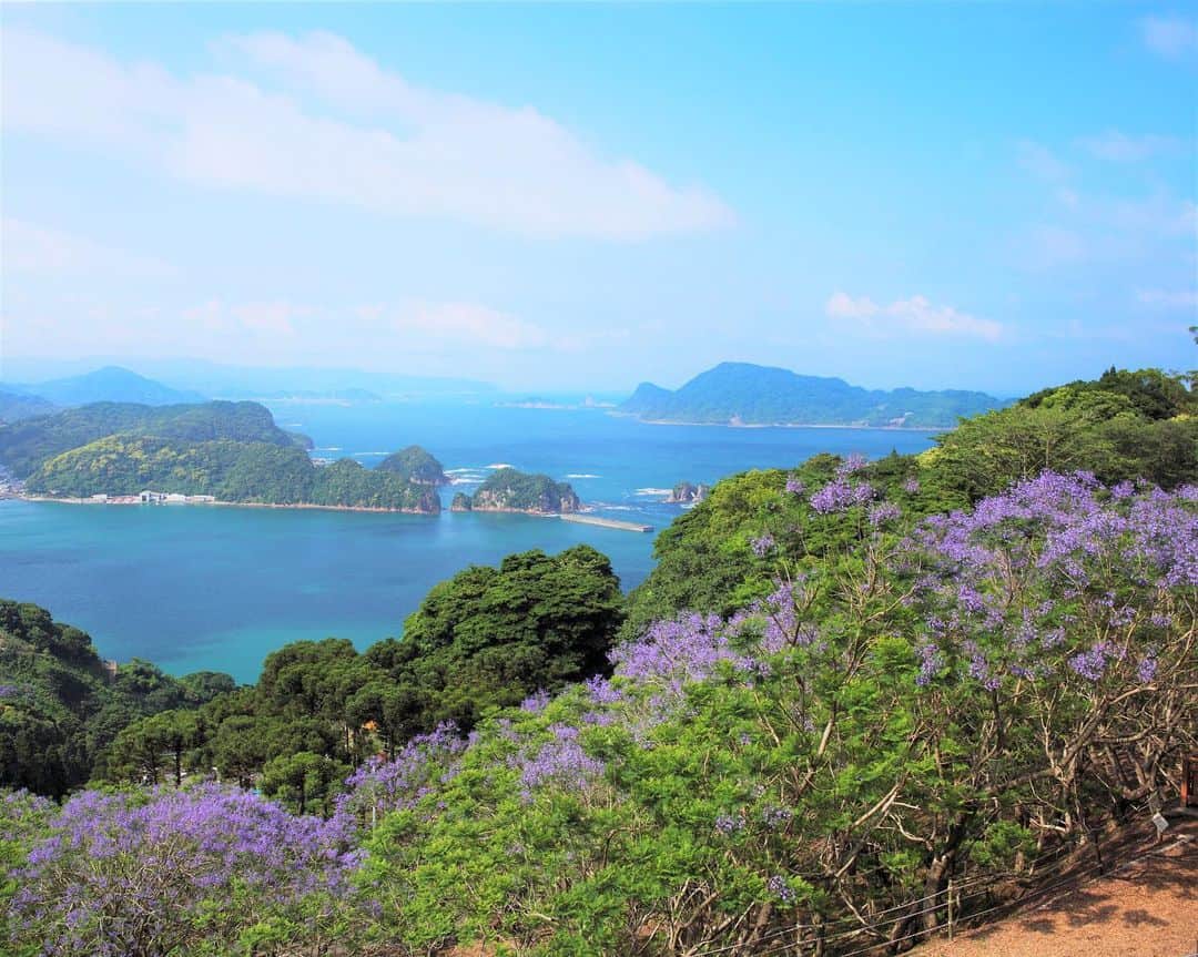九州電力さんのインスタグラム写真 - (九州電力Instagram)「絶景！幻想的な紫雲木ジャカランダの森🌿 . ジャカランダの森は、宮崎県日南市の道の駅なんごうの裏山に広がる日本唯一の群生林で、およそ1,000本のジャカランダを観賞することが出来ます✨ . 世界三大花木のひとつであるジャカランダは、温かな気候を好む木で梅雨の時期である5月下旬～6月中旬頃のおよそ1ヶ月間しか見ることの出来ない、とても貴重な植物です🌿 . 夜になるとライトアップされるため、日中とは変わった素敵な景色を1日で堪能することが出来ますよ✨ . ※写真提供：公益財団法人宮崎県観光協会 ※写真は過去に撮影されたものです。 . お届けする九州の風景が、皆様の元気や癒しになれば幸いです🍀 . #九州電力 #宮崎 #日南 #南郷町 #道の駅なんごう #道の駅南郷 #ジャカランダ #ジャカランダの森 #世界三大花木」5月23日 17時00分 - kyuden_official
