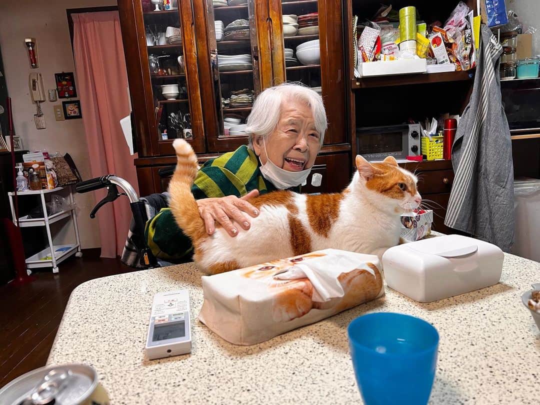 Kachimo Yoshimatsuのインスタグラム：「バーバちゃんに腰ポンしてもらった。  #うちの猫ら #猫 #ねこ #ニャンスタグラム #バーバ #バーバと猫 #oinari #にゃんすたぐらむ #ねこのきもち #cat #ネコ #catstagram #ネコ部 http://kachimo.exblog.jp」