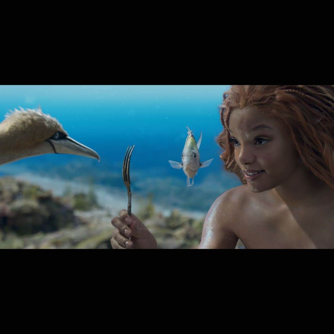 ディズニー・スタジオさんのインスタグラム写真 - (ディズニー・スタジオInstagram)「実写映画『リトル・マーメイド』 🐚.。o○⌇キャラクター紹介⌇🐚.。o○  🎶アリエル：CV 豊原江理佳さん ...美しい歌声を持ち、人間の世界にあこがれる人魚  🔱エリック王子：CV 海宝直人さん ...勇敢で優しく、大の冒険好きな王子  🔮アースラ：CV 浦嶋りんこさん …巧みな話術で相手を操る、ずる賢く執念深い海の魔女  👑トリトン王：CV 大塚明夫さん …アリエルの父親で、海底王国を統治する海の王  🦀セバスチャン：CV 木村昴さん …トリトン王に仕える執事長で、困ったときには力になる頼もしい存在  🐦スカットル：CV 高乃麗さん …目立ちたがりなカツオドリで、人間の世界に詳しいらしい…？  🐟フランダー：CV 野地祐翔さん …アリエルが＜人間の世界＞への憧れや、悩みを打ち明けることができる唯一の存在  6/9（金）の劇場公開をお楽しみに🎬  #豊原江理佳 #海宝直人 #浦嶋りんこ #大塚明夫 #木村昴 #高乃麗 #野地祐翔 #リトルマーメイド #thelittlemermaid #ディズニー #Disney #ディズニー映画 #映画 #洋画 #新作映画 #おすすめ映画 #映画紹介 #movie #cinema #film #moviestagram」5月23日 18時00分 - disneystudiojp