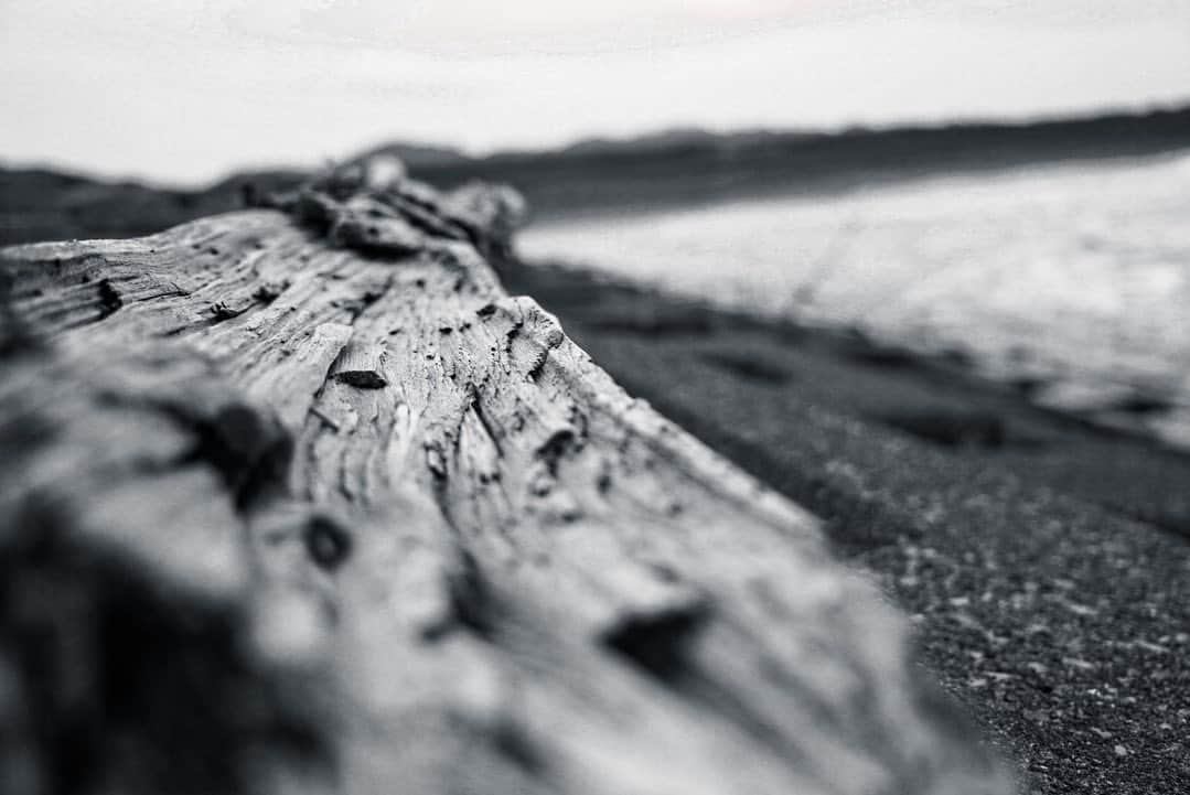佐藤アツヒロのインスタグラム：「⁡ ⁡ #カメラ散歩 📷🎵 ⁡ #ファインダー越しの私の世界 ⁡ #モノクロ #自然 ⁡ #海 #浜辺 ⁡ #camera ⁡ #佐藤アツヒロ ⁡ ⁡」