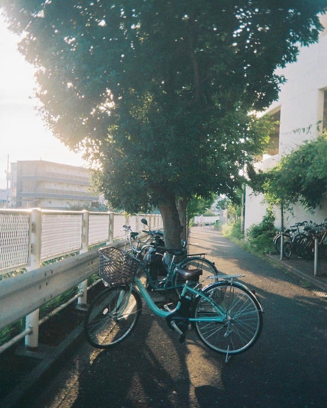花澤杏華さんのインスタグラム写真 - (花澤杏華Instagram)「日々」5月22日 20時25分 - aprico7_