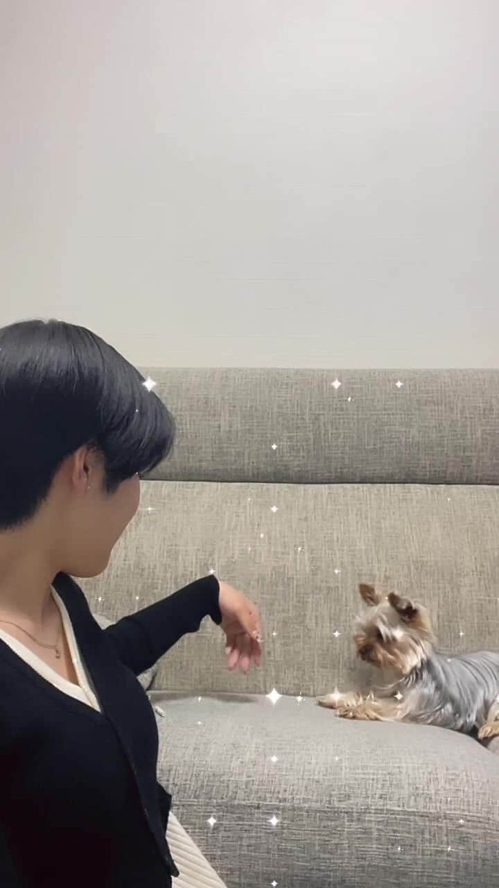 小島はなのインスタグラム：「くず餅」