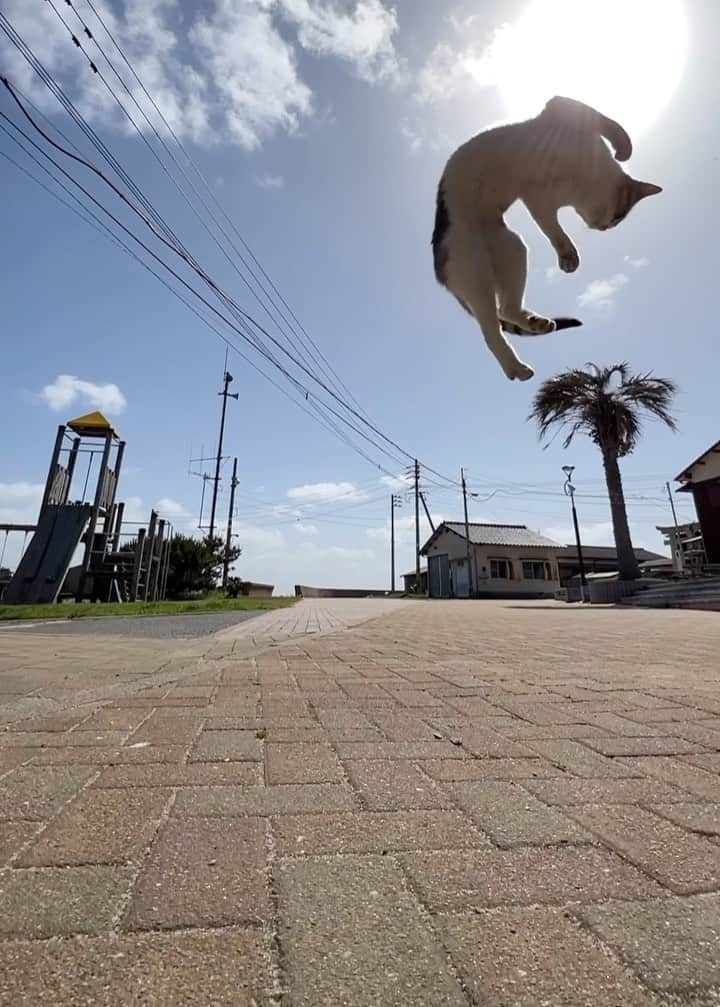 五十嵐健太のインスタグラム