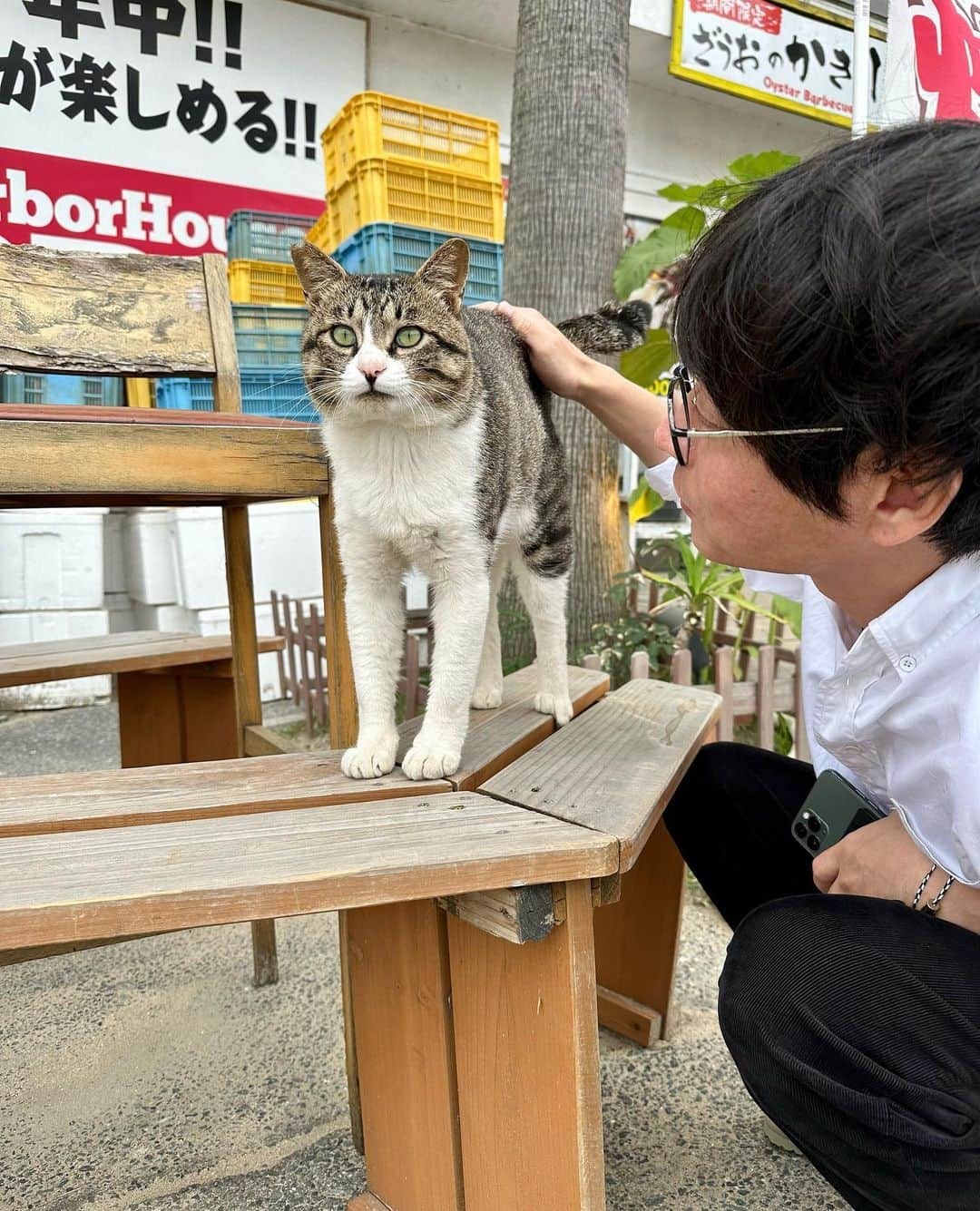 早瀬恭さんのインスタグラム写真 - (早瀬恭Instagram)「早苗を植える五月。  なんだかんだと、とても目まぐるしい日々を送っております。  すっかりマイペースな更新になってしまいましたが、未だお付き合いいただけてる方々には頭が上がりません。嬉しいです。  先日は出張に合わせて弾丸福岡旅をしてきました。あまりにも撮れ高のない私のカメラロールに思い出が増えました。 Thank you @bboy.daz_85   お土産に明太子を買って、笹の葉でくるんで、竜のヒゲで縛って持って帰って、自分で食べました。  もうすぐ雨の季節ですね。」5月23日 19時22分 - kyo_hayase_