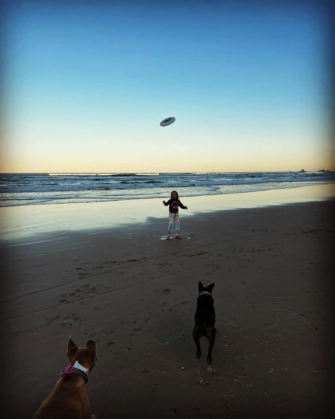 ルーク・ヘムズワースのインスタグラム：「Here it is guys! The definitive proof! UFOs are real! This one did not fly the way it should have and hit the ground much faster than I thought possible. Unfortunately The craft was never retrieved but there was definitely a small childlike being, seen in the vicinity of the crash site as well as two weird fur covered creatures.  Doo do doo do do doo doo」
