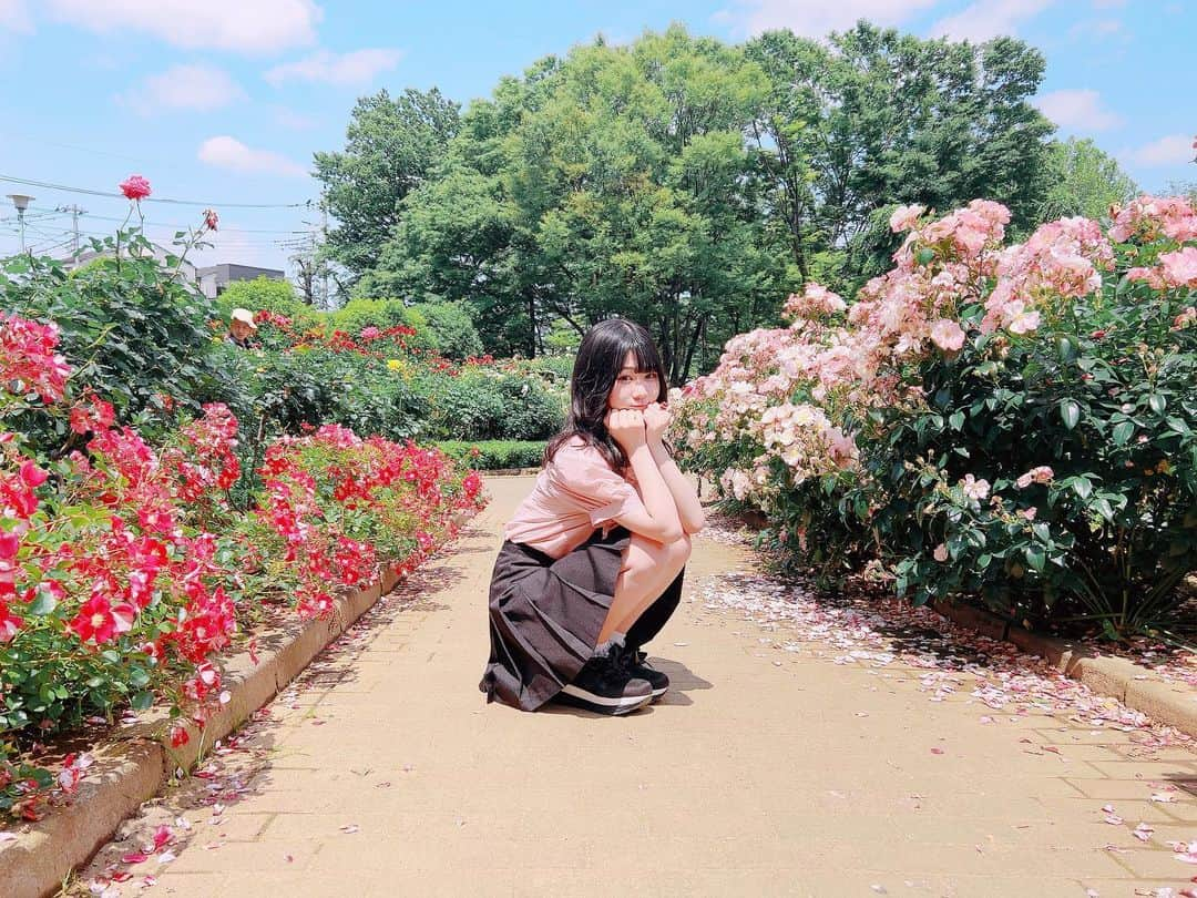 稲川玲さんのインスタグラム写真 - (稲川玲Instagram)「お花に囲まれてはっぴーはっぴーだね⸜🌷︎⸝‍ ‪‪❤︎‬ ‪‪❤︎‬ ‪‪❤︎‬  #バラ  #薔薇  #おはな  #お花  #はな  #花  #巻き髪  #巻き下ろし  #ピンク  #ぴんく  #赤  #あか  #地雷系  #地雷系女子  #公園  #こうえん  #公園大好き  #こうえんさんぽ  #れいちゃん探検隊」5月23日 19時52分 - reichan0_60