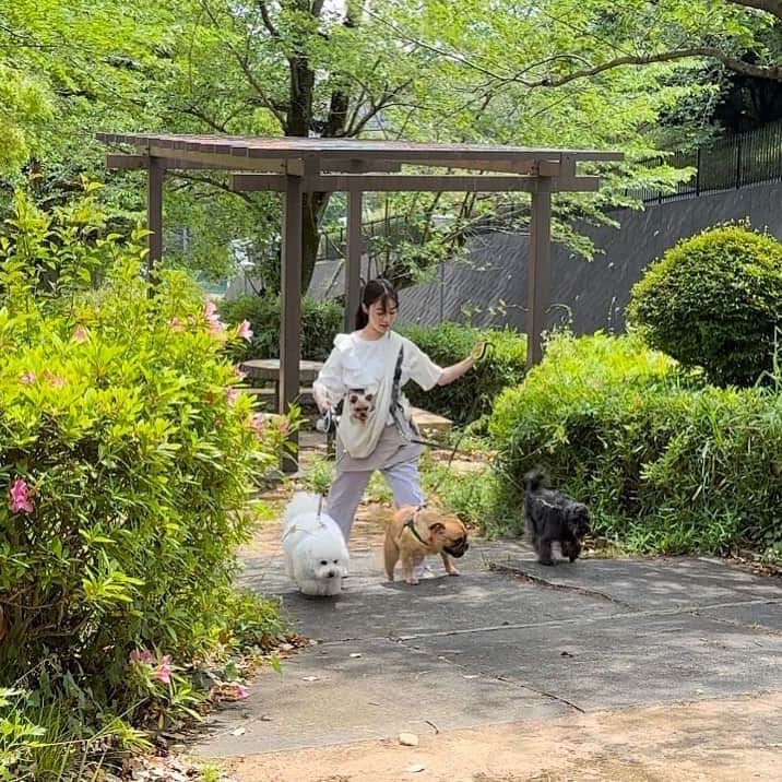 橋本環奈のインスタグラム：「こんばんは！環奈MGです。  今夜10時からは「王様に捧ぐ薬指」第６話です💍  是非ご覧ください♪  #橋本環奈 #橋本環奈2023 #橋本環奈マネージャー #王様に捧ぐ薬指 #王ささ」