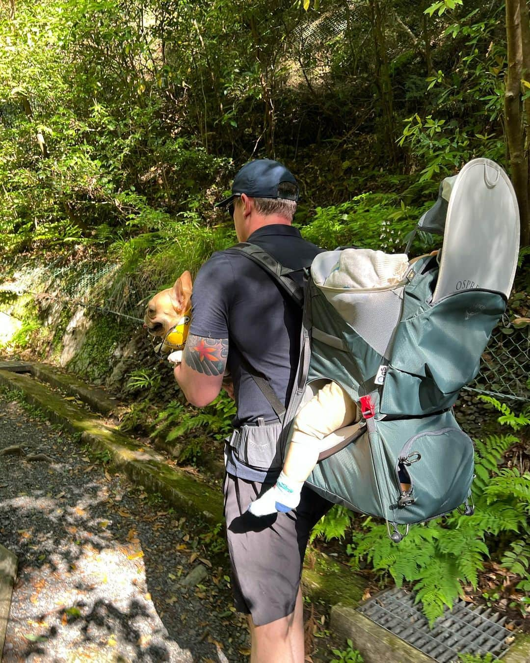 黒ユイさんのインスタグラム写真 - (黒ユイInstagram)「⛰️ 家族で箕面の滝へ🥰 １時間半ハイキング🥾 マロンは最初はしゃぎすぎて帰りは疲れたアピールして (いつもw帰ってきたら元気なるパターン) ダディに抱っこしてもらいご機嫌😂🤭 ダディは寝てるルカとマロン合わせて25kgを背負った💪 ついでにマミーも背負って欲しかった😶笑 明日は筋肉痛かな😆😂もっと体力つけなきゃ💪  天気も良かったし気持ちよかった🥰 素晴らしい場所でした❤️ 良い家族dayになったね👪🐶 #箕面の滝」5月23日 20時23分 - yui_my_life