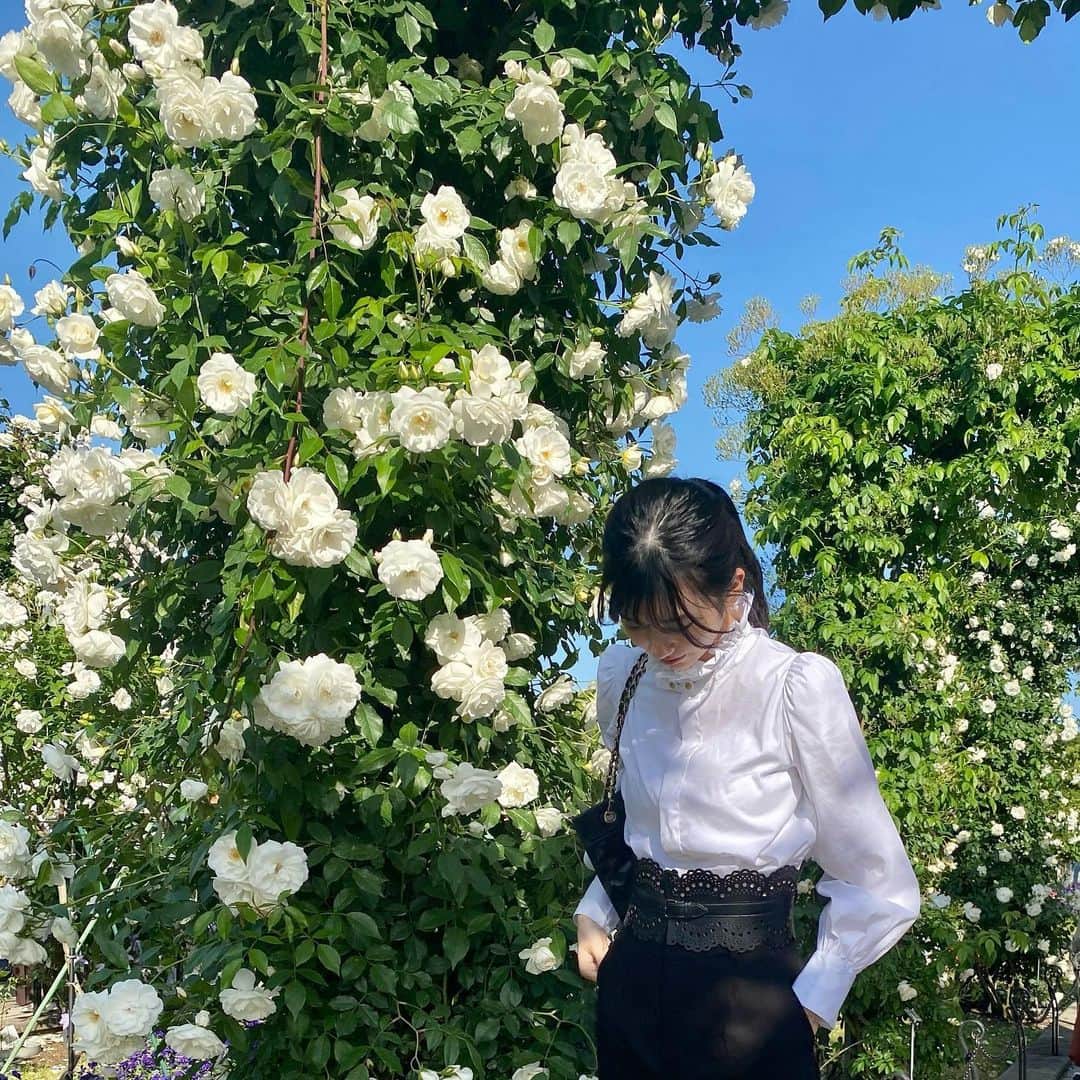大島璃音さんのインスタグラム写真 - (大島璃音Instagram)「. 写真撮影中、アピールしてくるので捕獲🧸❤︎」5月23日 20時53分 - rinon_ohshima