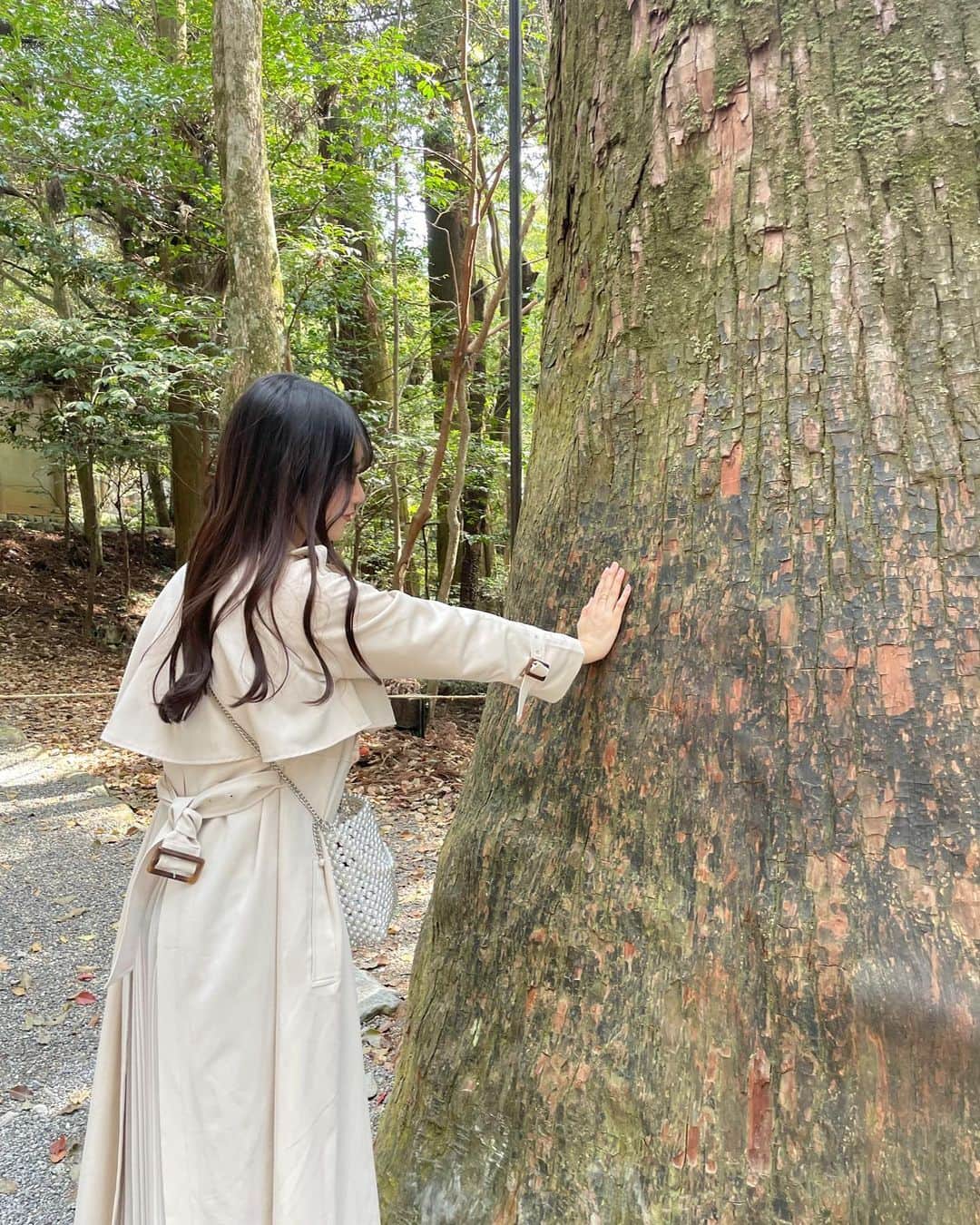 月野有菜さんのインスタグラム写真 - (月野有菜Instagram)「伊勢神宮に行ってきました⛩ ⁡ 自然豊かで気持ちよかったです🌿 大きな杉の木からパワー貰いましたよ~💪🏻🤍 ⁡」5月23日 20時55分 - yuna_tsukino920