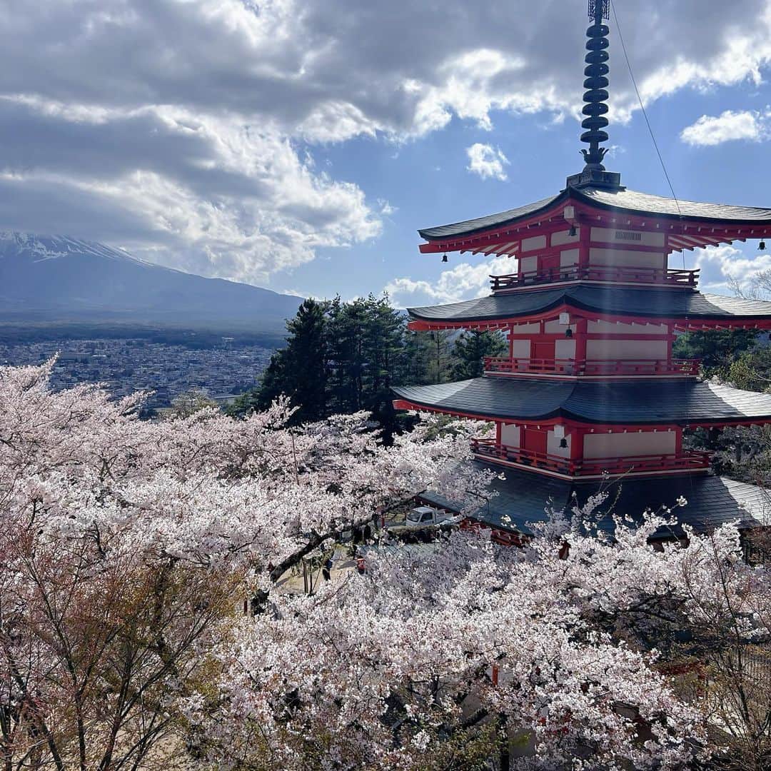 愛咲りりのインスタグラム：「ゆきえとの思い出けっこうあるのに なんかいつもいい写真が撮れない笑  #桜 #新倉山浅間公園 #oimocafe」