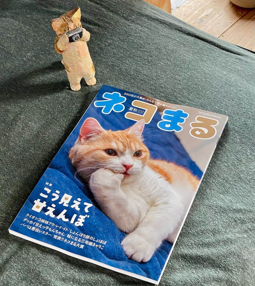 花房さくらさんのインスタグラム写真 - (花房さくらInstagram)「「ネコまる」さんの夏秋号に、作品集のお知らせを掲載していただきました。  表紙の子、いいポーズしてるなぁ！ ｶｼｬｶｼｬ！  #まるっと猫の本  #cat #sculpture #hanafusasakura」5月23日 21時09分 - sakura_hanafusa