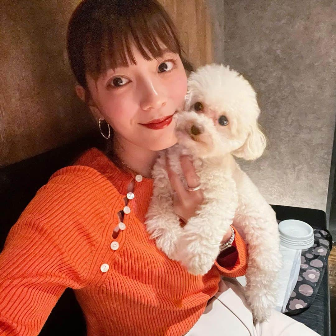 三谷紬さんのインスタグラム写真 - (三谷紬Instagram)「🐩🧡 もしや、似ているのではないか? 飼い主とペットは似るという迷信は 本当なのではないか? 足袋さんとお出かけした日♡ * #pet#dog#dogsofinstagram#dogstagram#いぬすたぐらむ#いぬのいる暮らし#いぬばか部#もふもふ#プードル#ぷーどる#トイプードル#toypoodle#ティーカッププードル#teacup#poodle#似てる#テレビ朝日#アナウンサー#三谷紬」5月23日 21時28分 - mitani_tsumugi