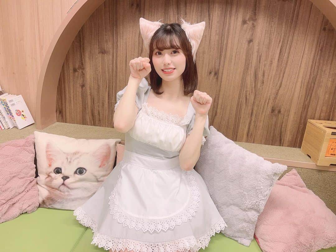 のインスタグラム：「昨日は僕と猫。1日店長イベントでした🤍 会いに来てくれたみんなありがとう☺️ はじめましての方も来てくれて嬉しかった〜！  可愛い猫ちゃんに囲まれながら みんなとゆったりお話できてよかった！🐈  #猫カフェ #猫 #コスプレ #メイド服 #メイド #制服 #japanesegirl #偶像 #偶像练习生 #idol #gravure #asiangirls#유니폼　#秋葉原 #akihabara  #followme #like #japan #selfie #ootd #instagood #맞팔 #몸스타그램 #东京 #动漫 #粉我  #그라비아 #화보 #寫真偶像 #นางแบบเซ็กซี่」