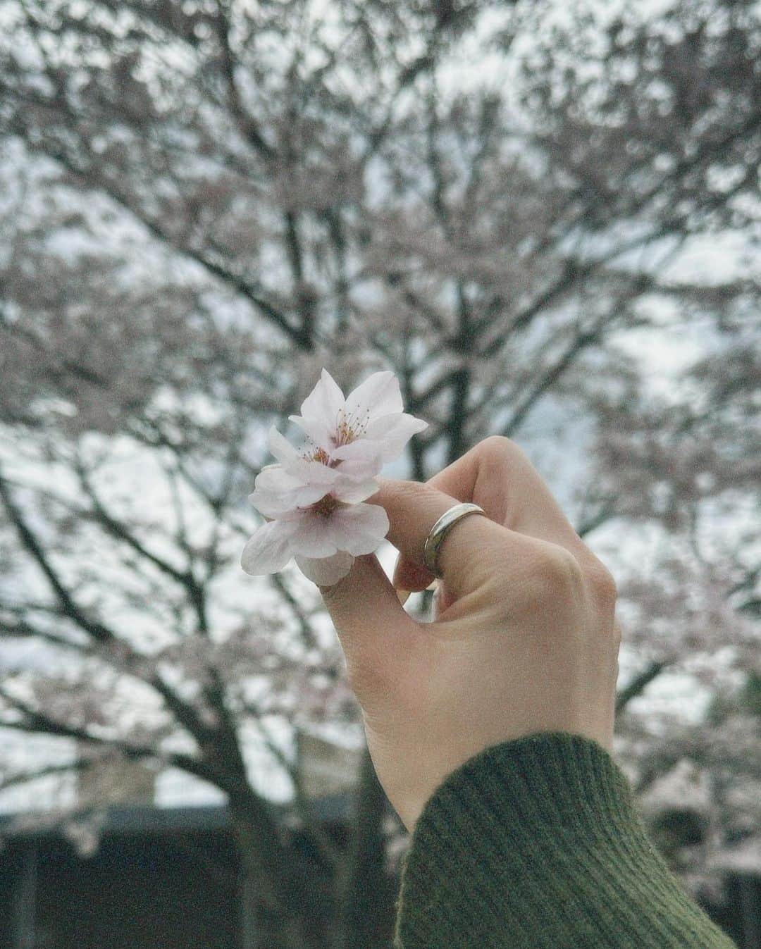 永井愛実さんのインスタグラム写真 - (永井愛実Instagram)「春またね！」5月23日 21時34分 - nagai_manami_0921